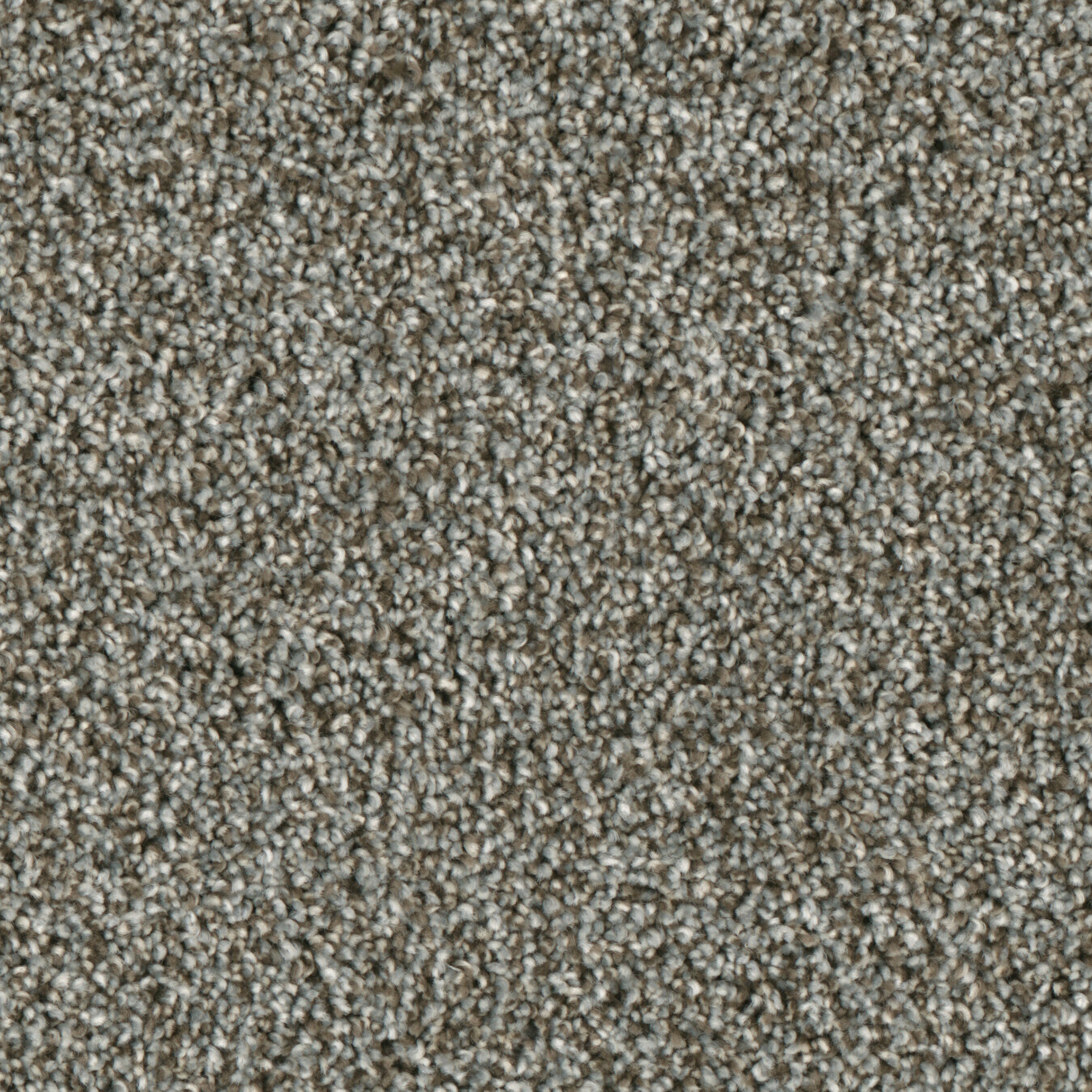 (Sample) Lenox Park Brookhaven Textured Indoor Carpet | - STAINMASTER S9255-936-S