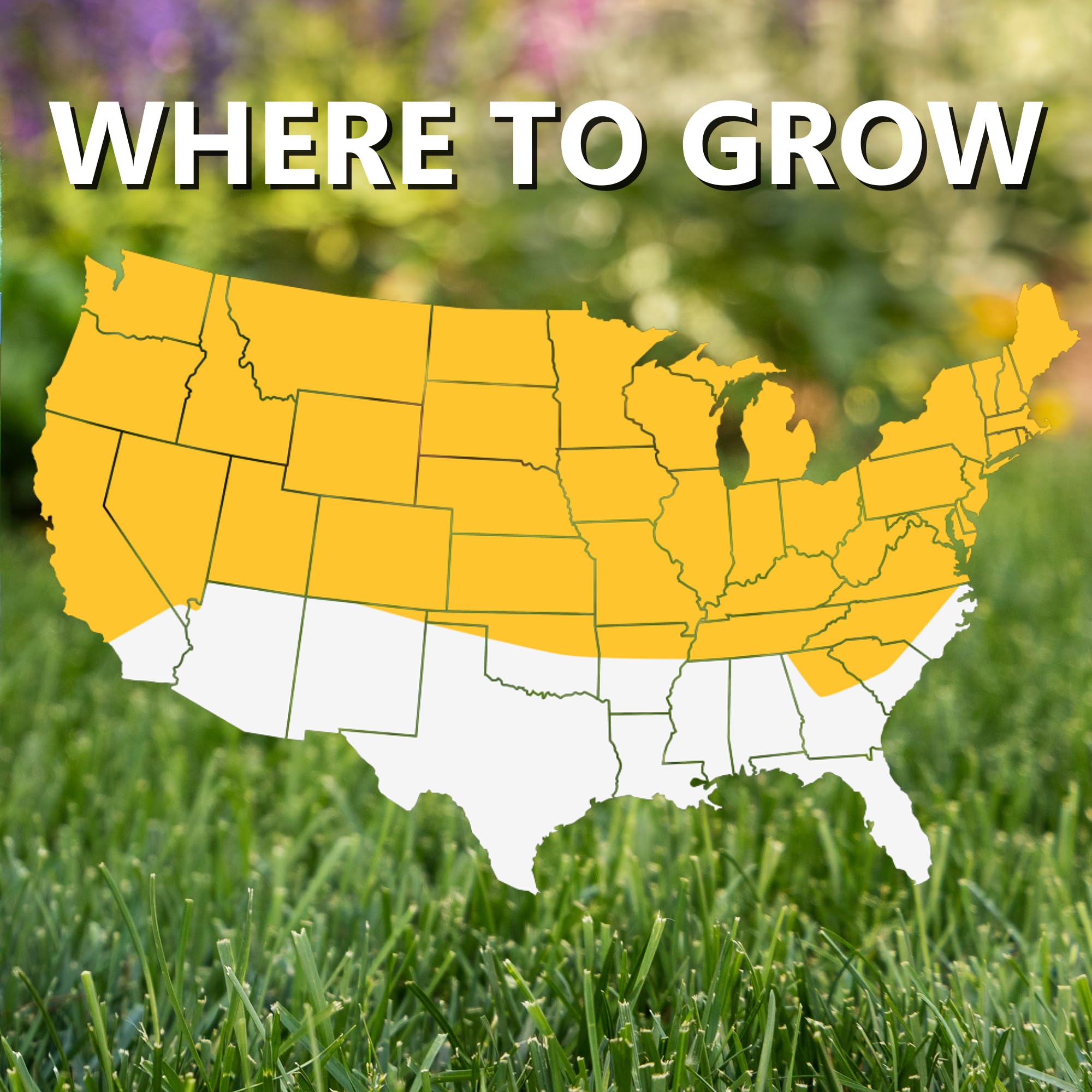 Jonathan Green 10315 Grass-Seed - View #4