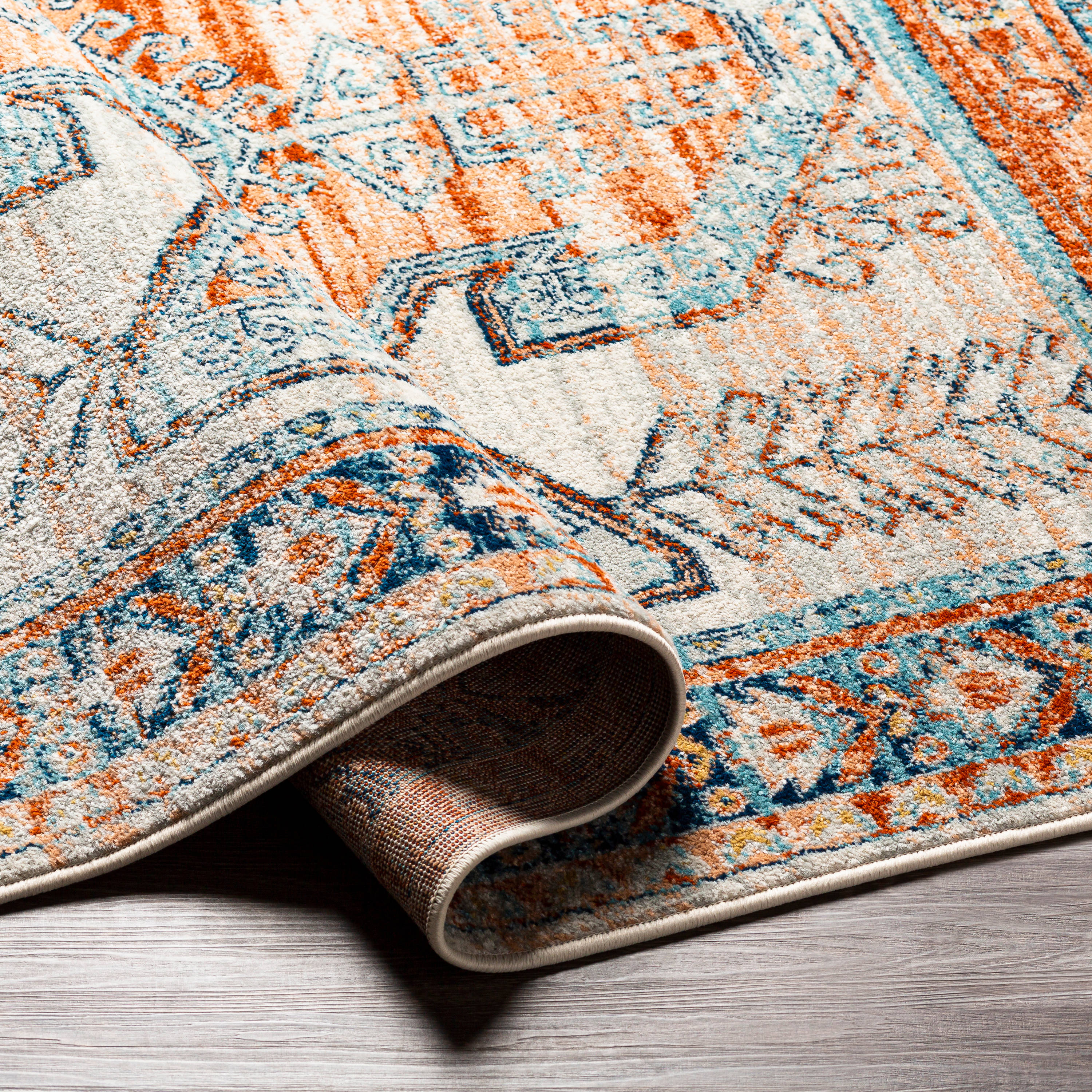 Artistic Weavers TVZ2310-71010 rugs - View #4