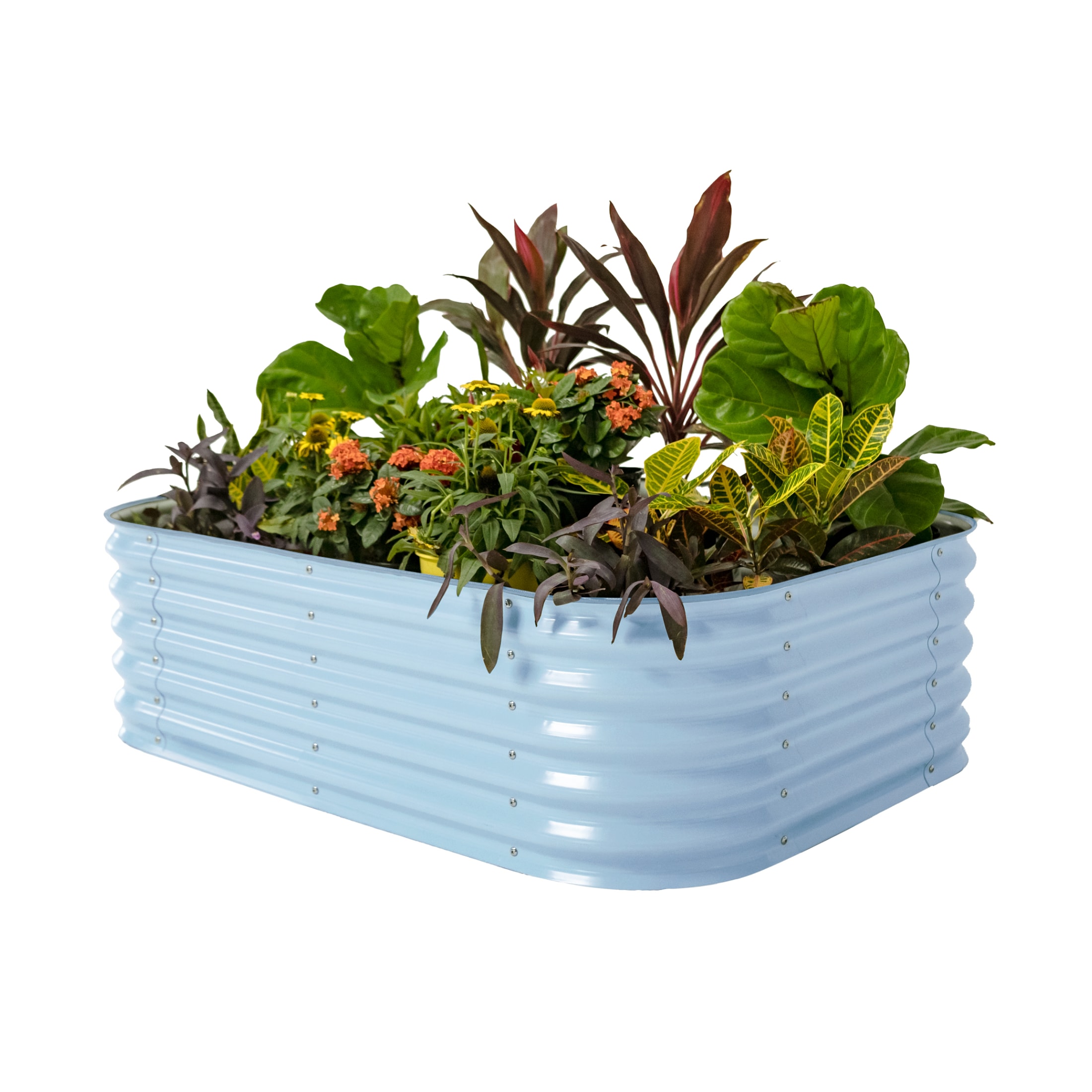 Vego Garden 25-cu ft 42-in W x 60-in L x 17-in H Sky Blue Galvanized Metal Raised Garden Bed #VB6N117SB