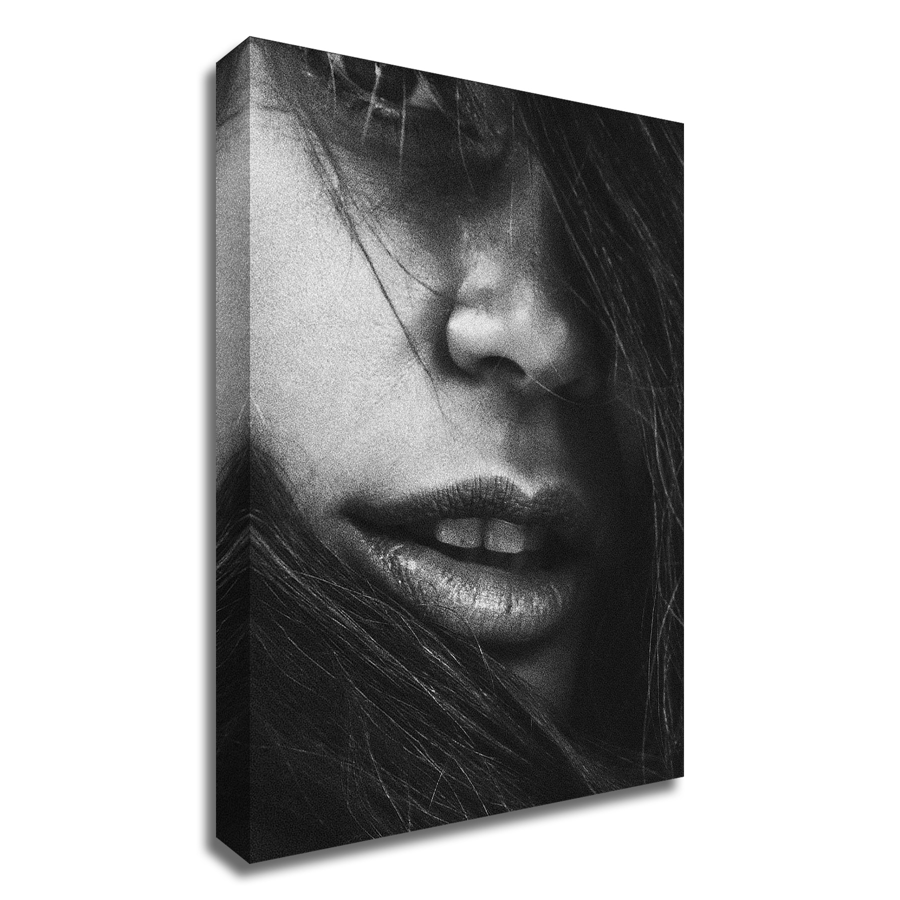 Tangletown Fine Art 36-in H x 24-in W Figurative Print on Canvas in the ...