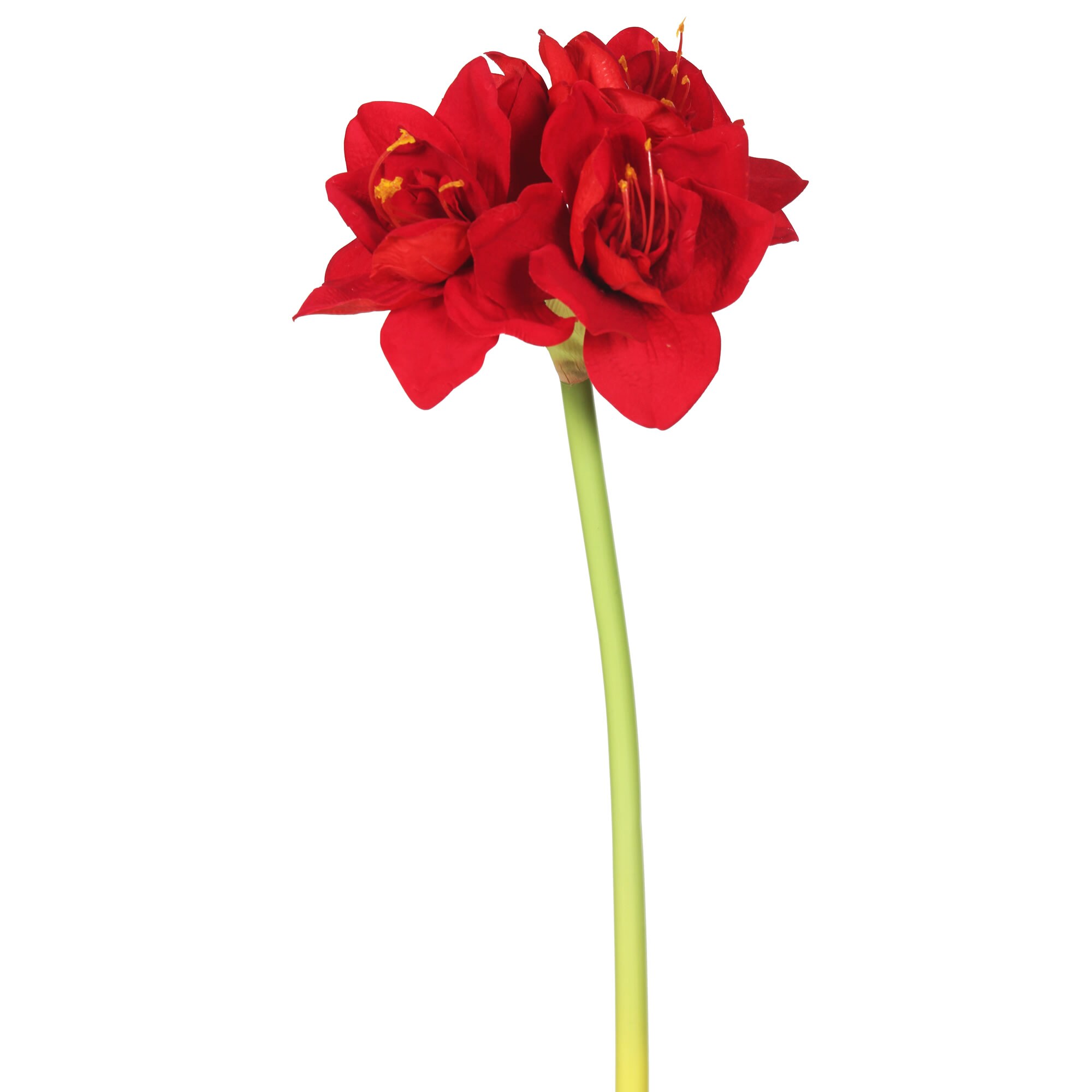 Vickerman FA173301 28-Inches Red Indoor Desktop Amaryllis Artificial flower