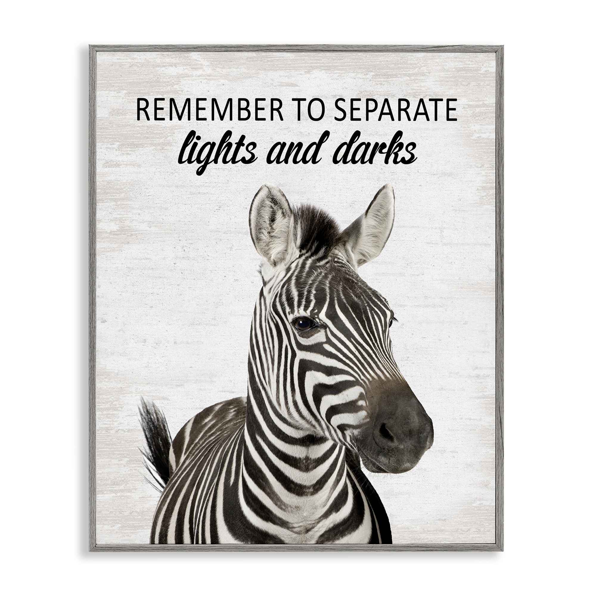 Stupell Industries BS-885-GFF-24X30 Remember To Separate Laundry Gray Framed Giclee Art By Lettered and Lined 24 x 30