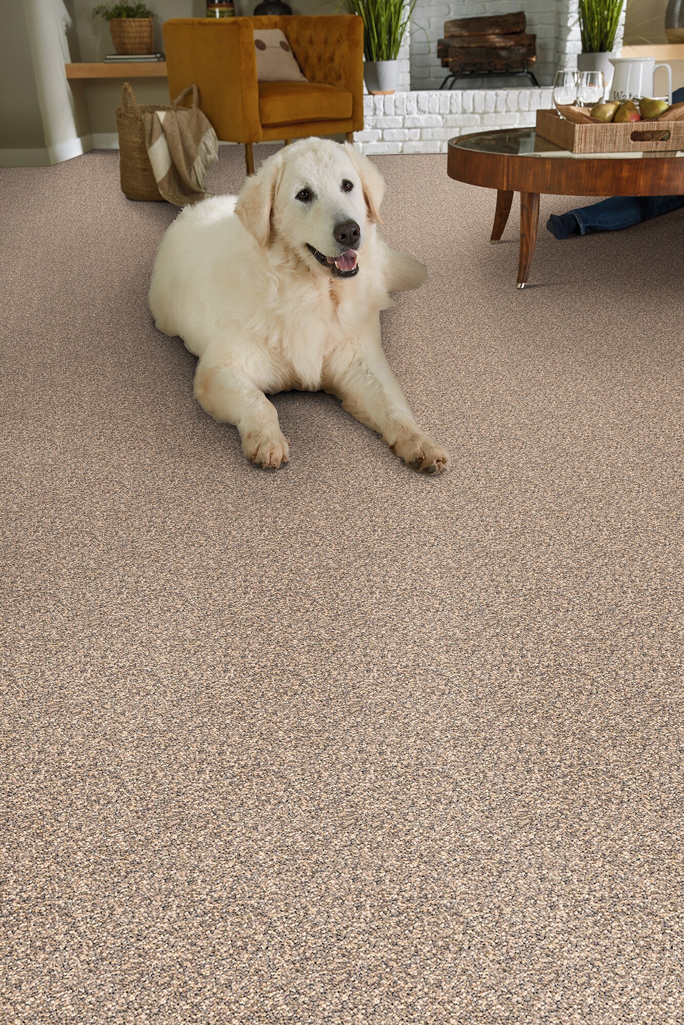 STAINMASTER DL020-118S Carpet-Samples - View #2