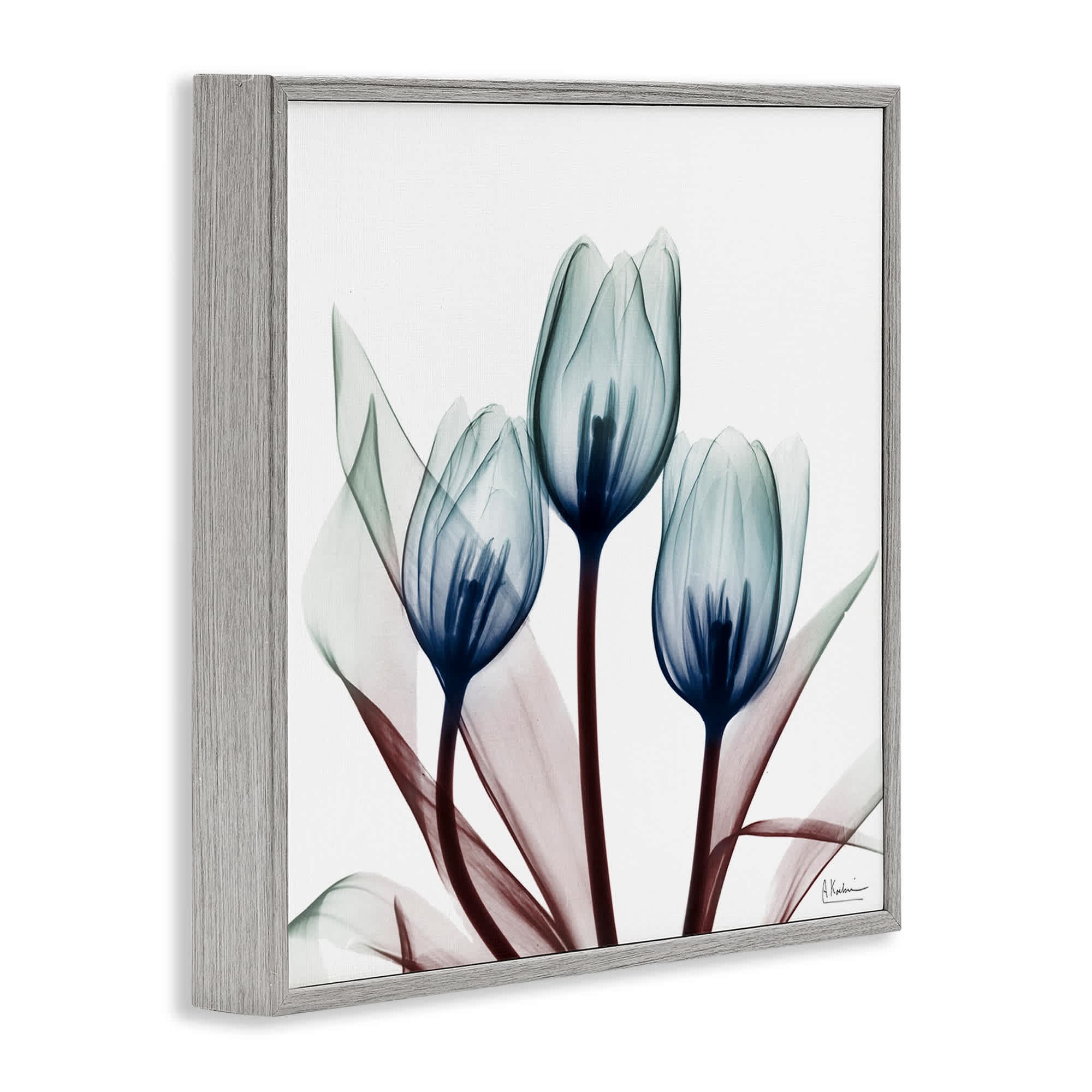 Stupell Industries BS-015-GFF-24X24 Wall-Art - View #2