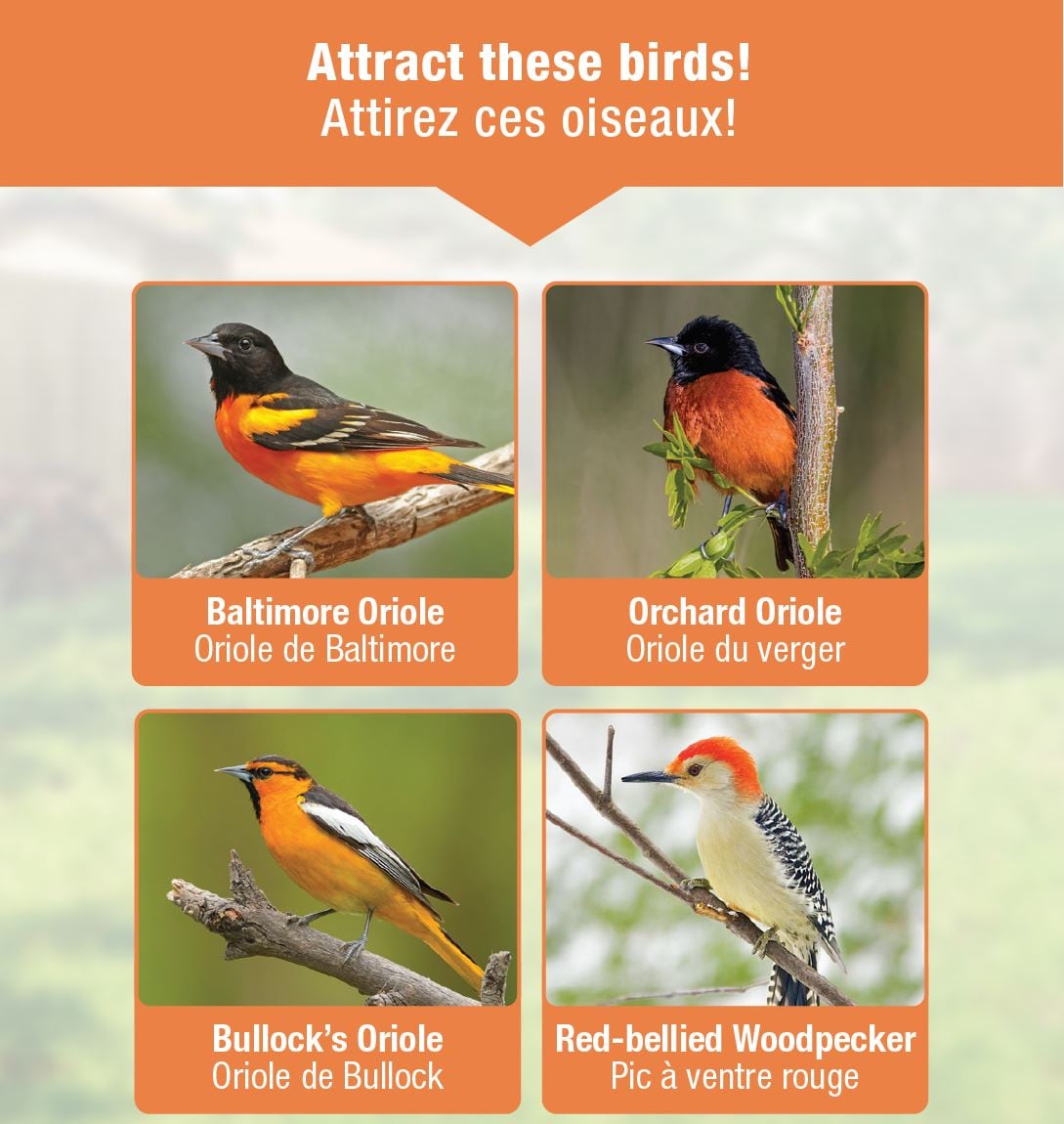 Nature's Way OFP1-CP1 Bird-Feeders - View #5