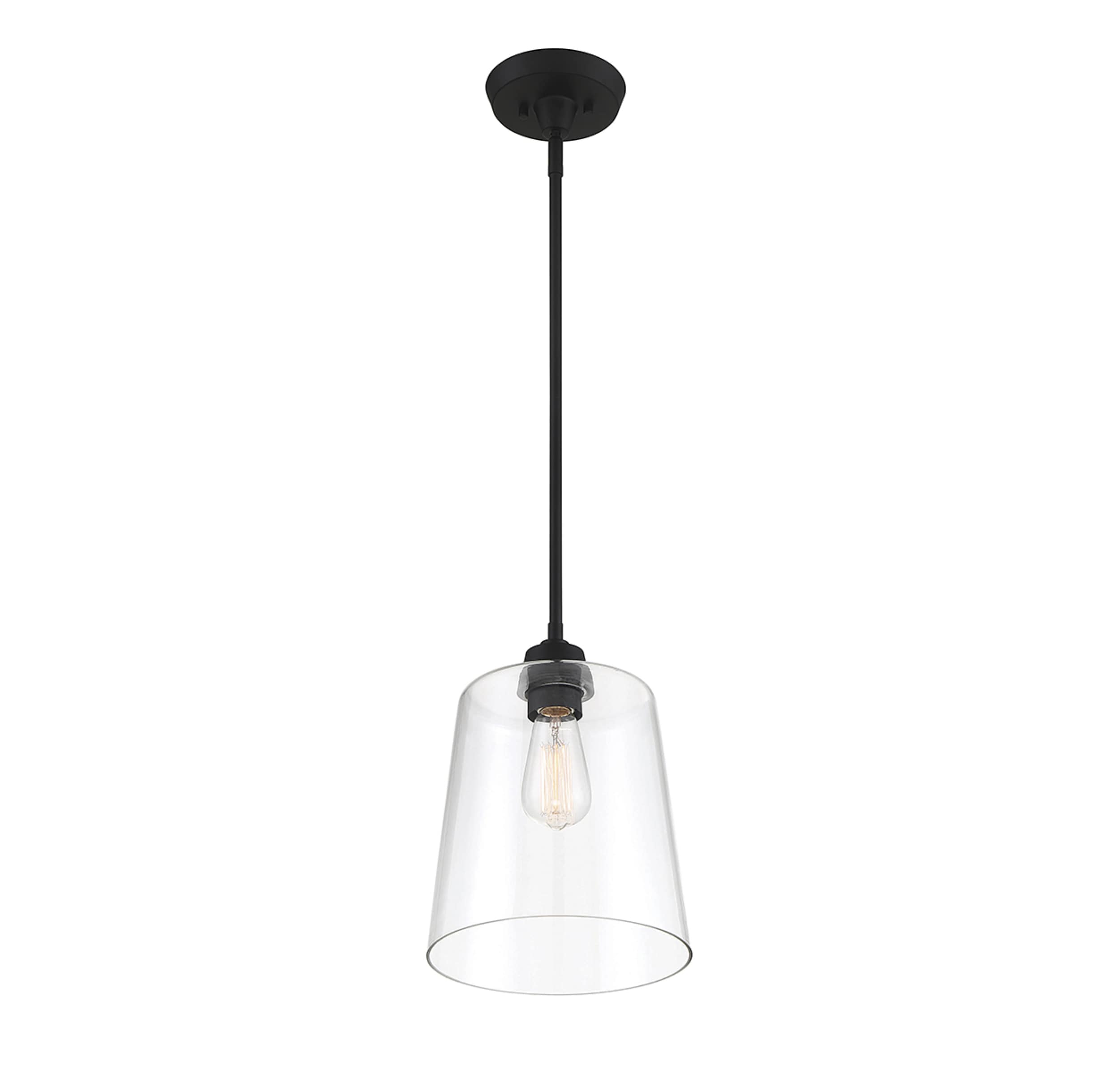 Templeton Matte Black Pendant Light with Clear Glass Shade