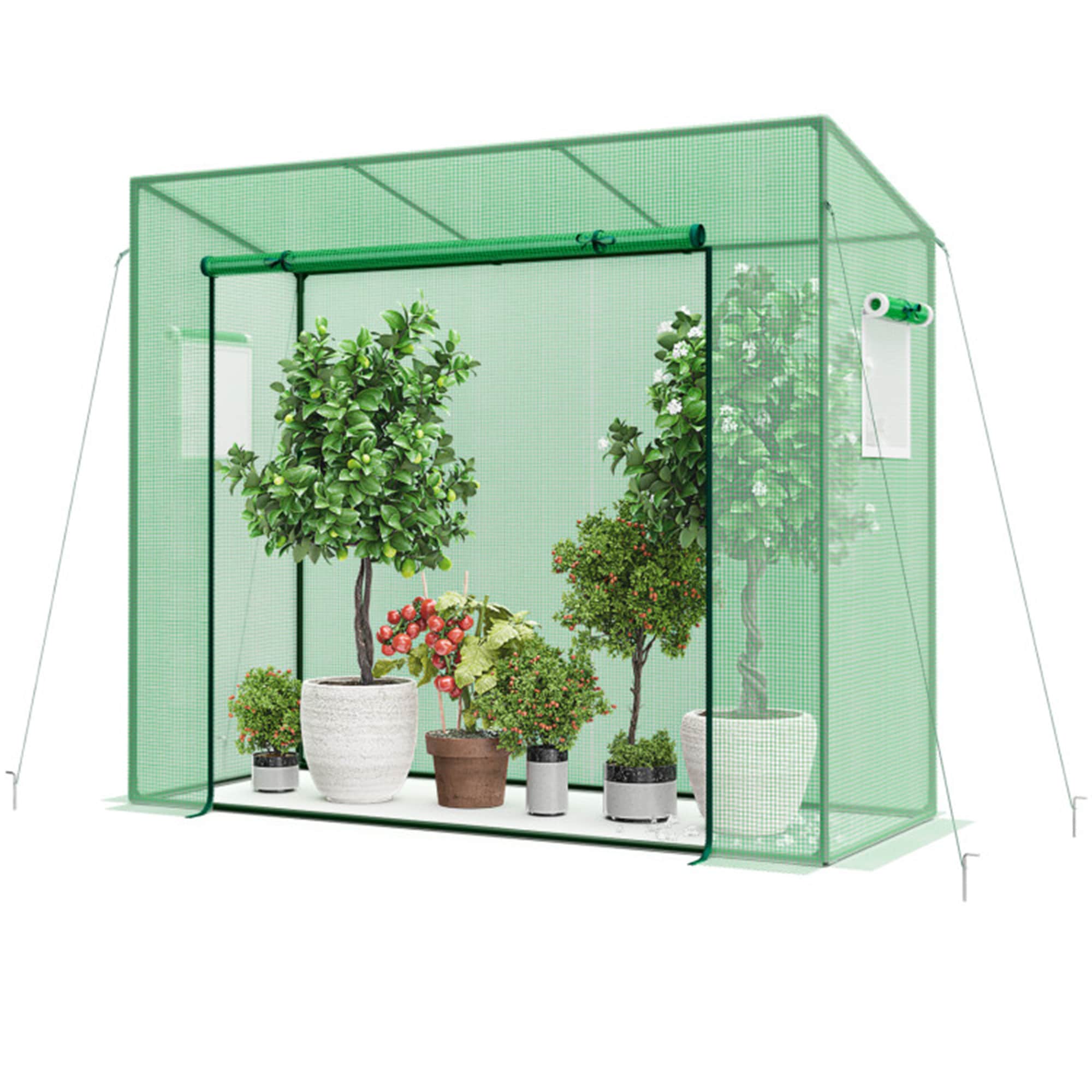 BABOOM BOM-GT4217-CO greenhouses - View #5