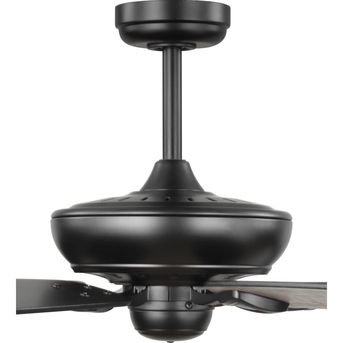 Progress Lighting P250070-31M Ceiling-Fans - View #6