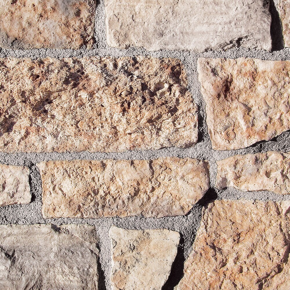 Coronado Stone Products 01237874BB Cut Stone 110-sq ft Ancient Reef Manufactured Stone Veneer