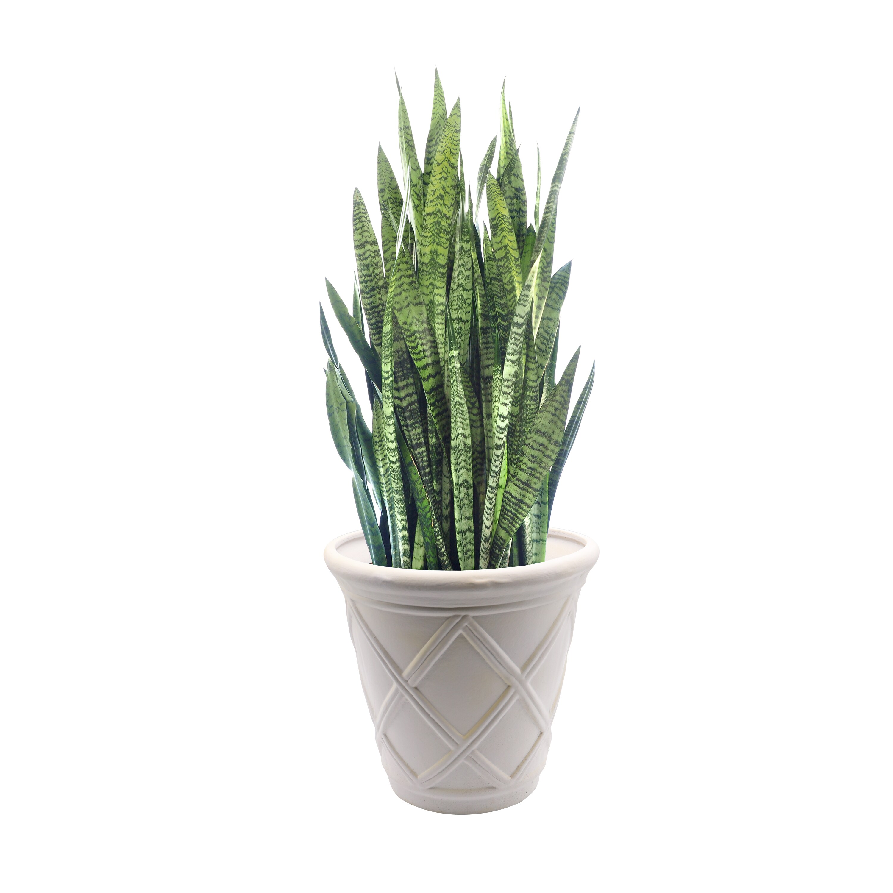 Evergreen 2CG868 Planter-Window-Box - View #4