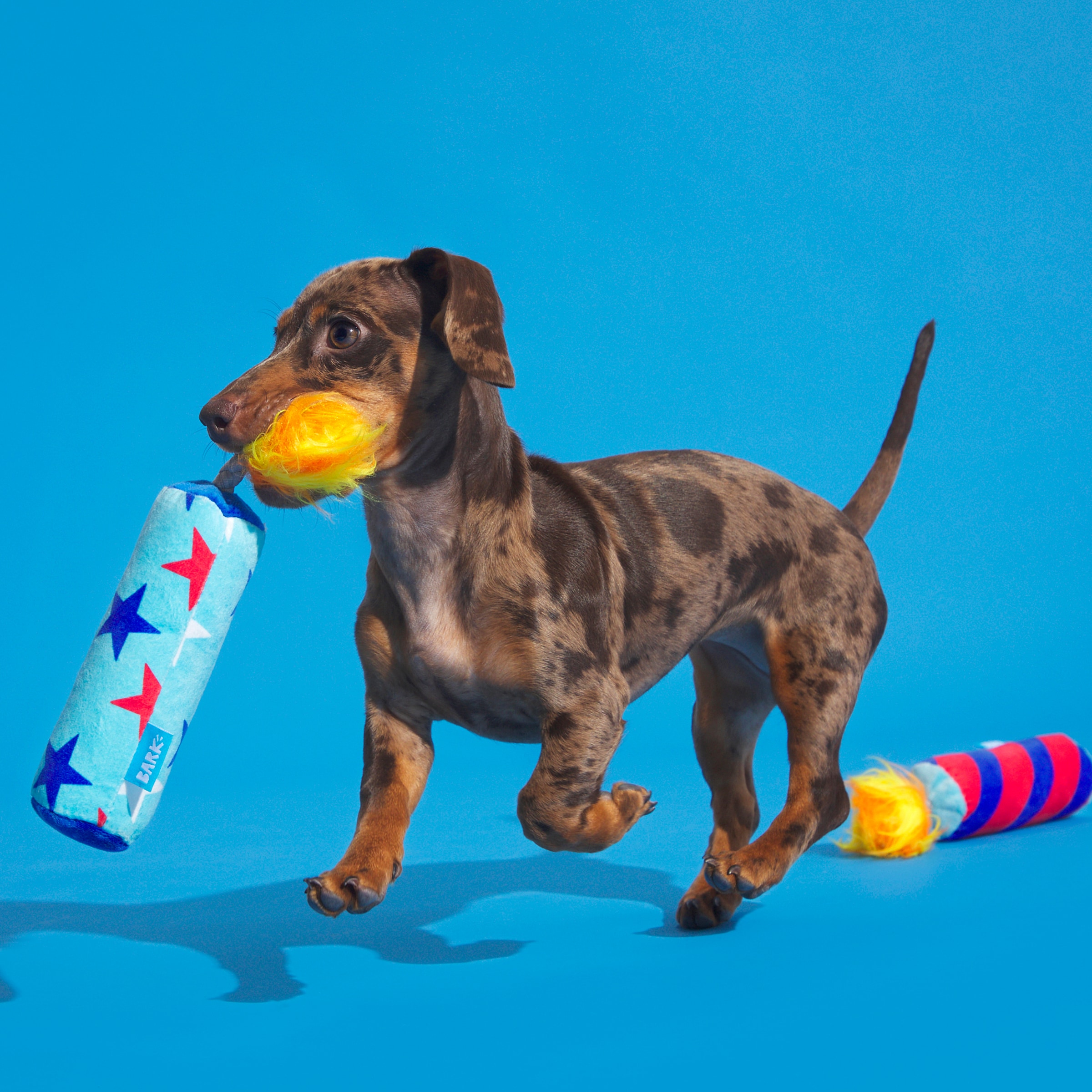 BARK 214270 Dog-Toys - View #3