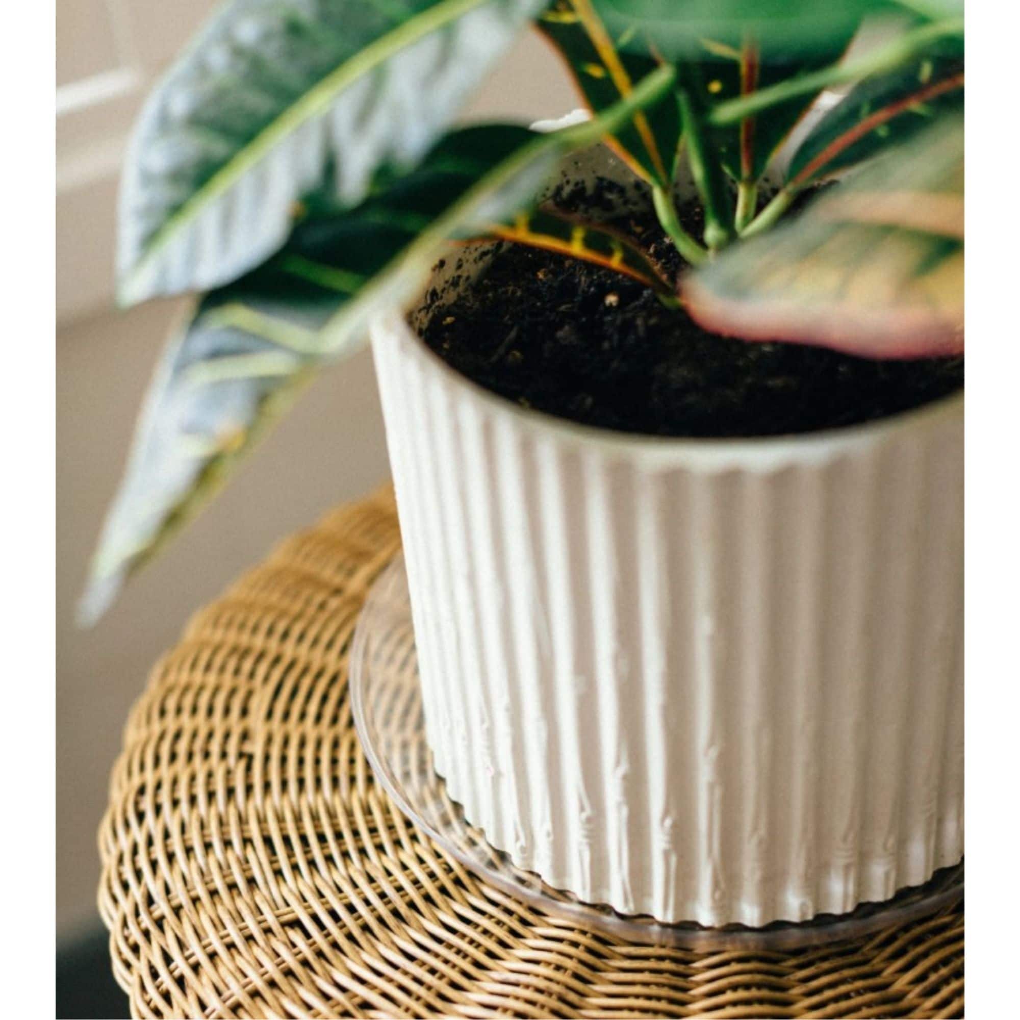 Curtis Wagner Plastics 759188160005 Plant-Stand - View #2