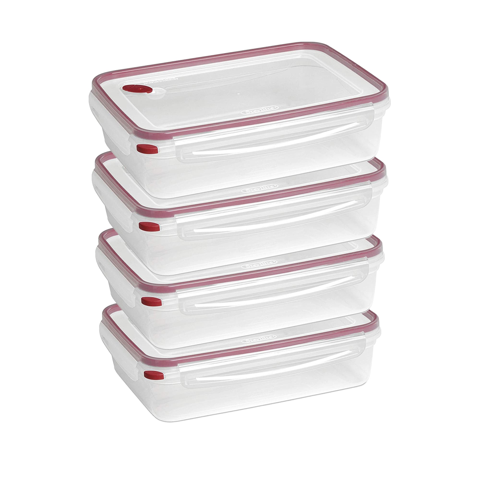 DALCINI Snack Stainless Steel Bpa-free Reusable Food Storage Container Set  with Lid in the Food Storage Containers department at