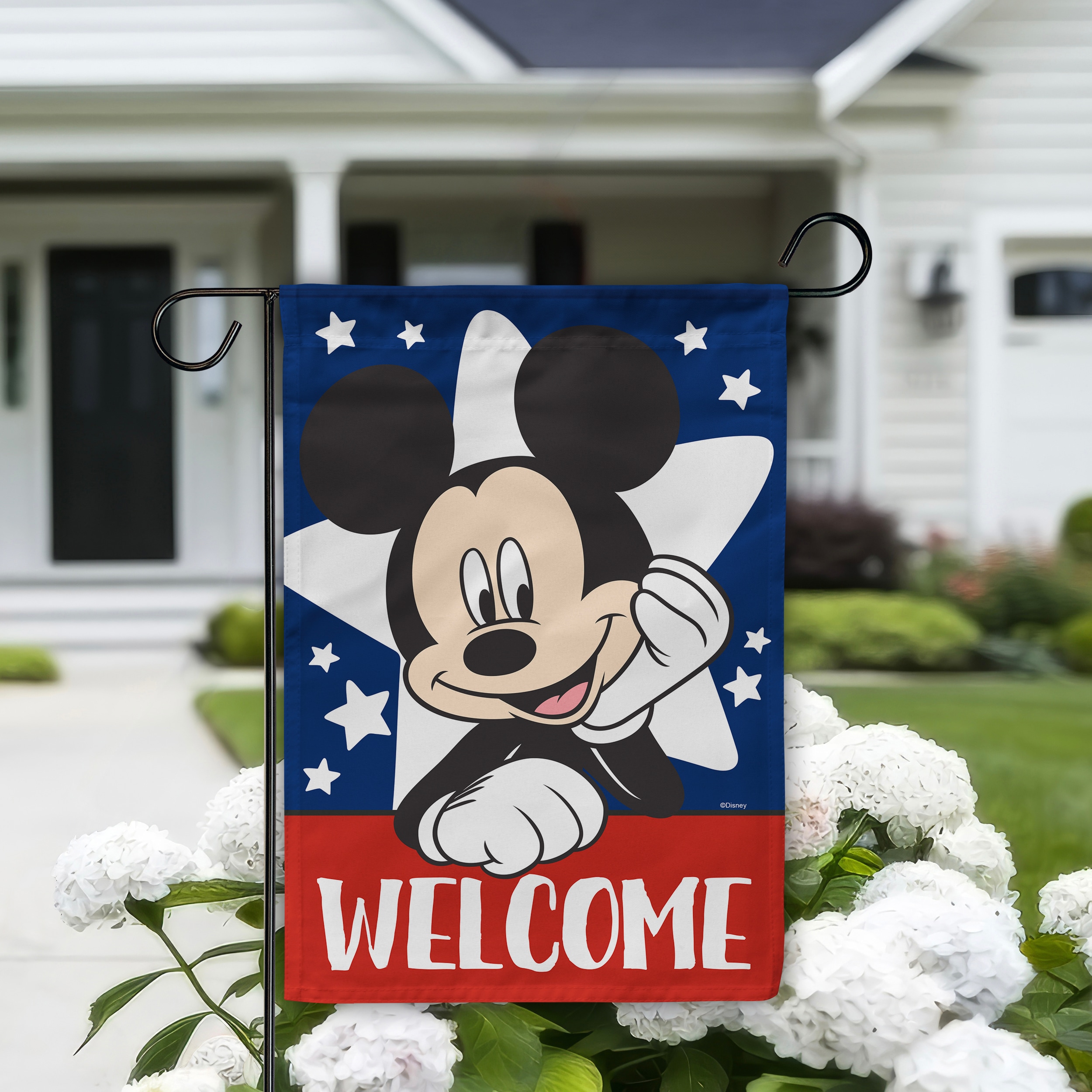 Disney 10-1313-92-01 Decorative-Banner-Flags - View #7