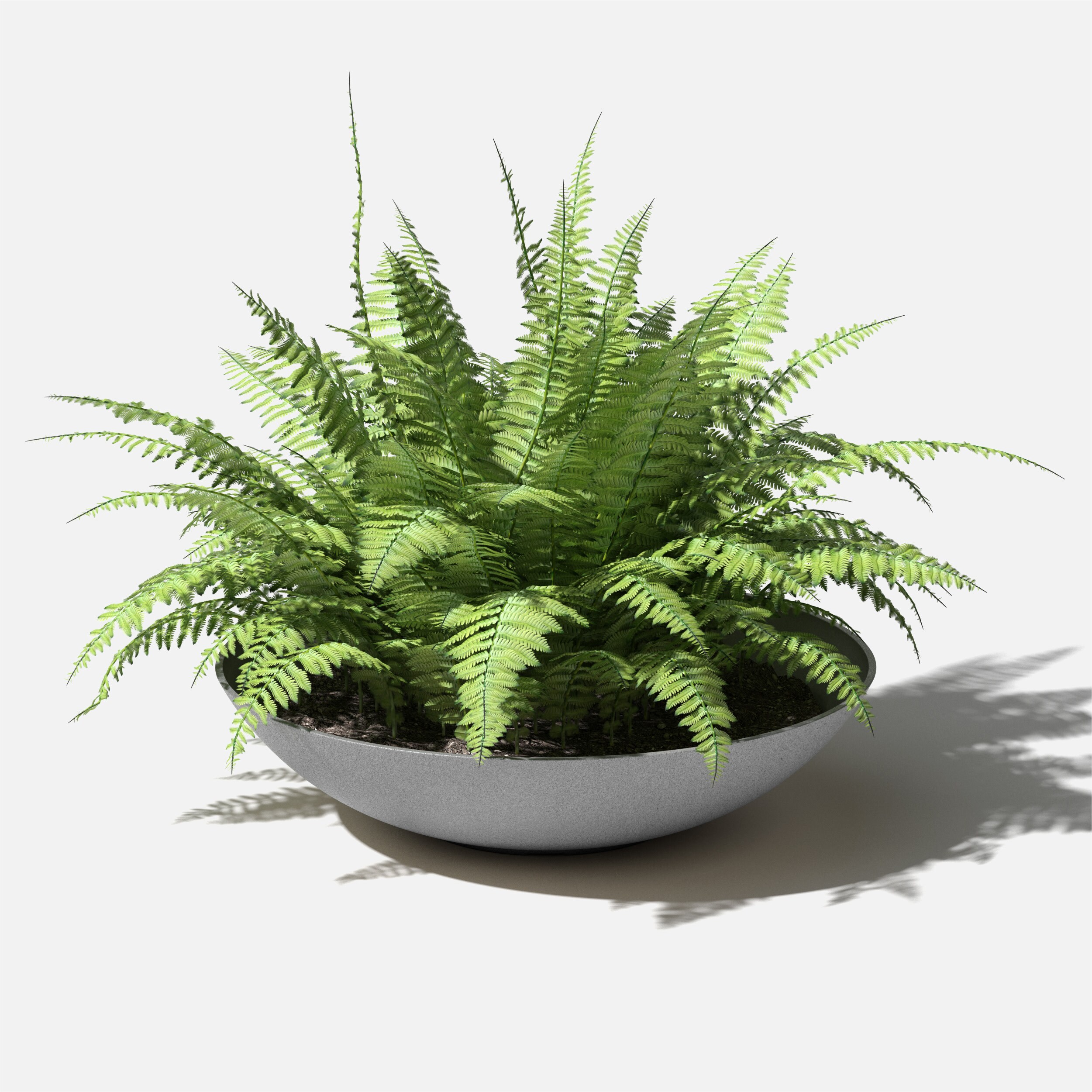 Veradek LBV32C Planter-Window-Box - View #9