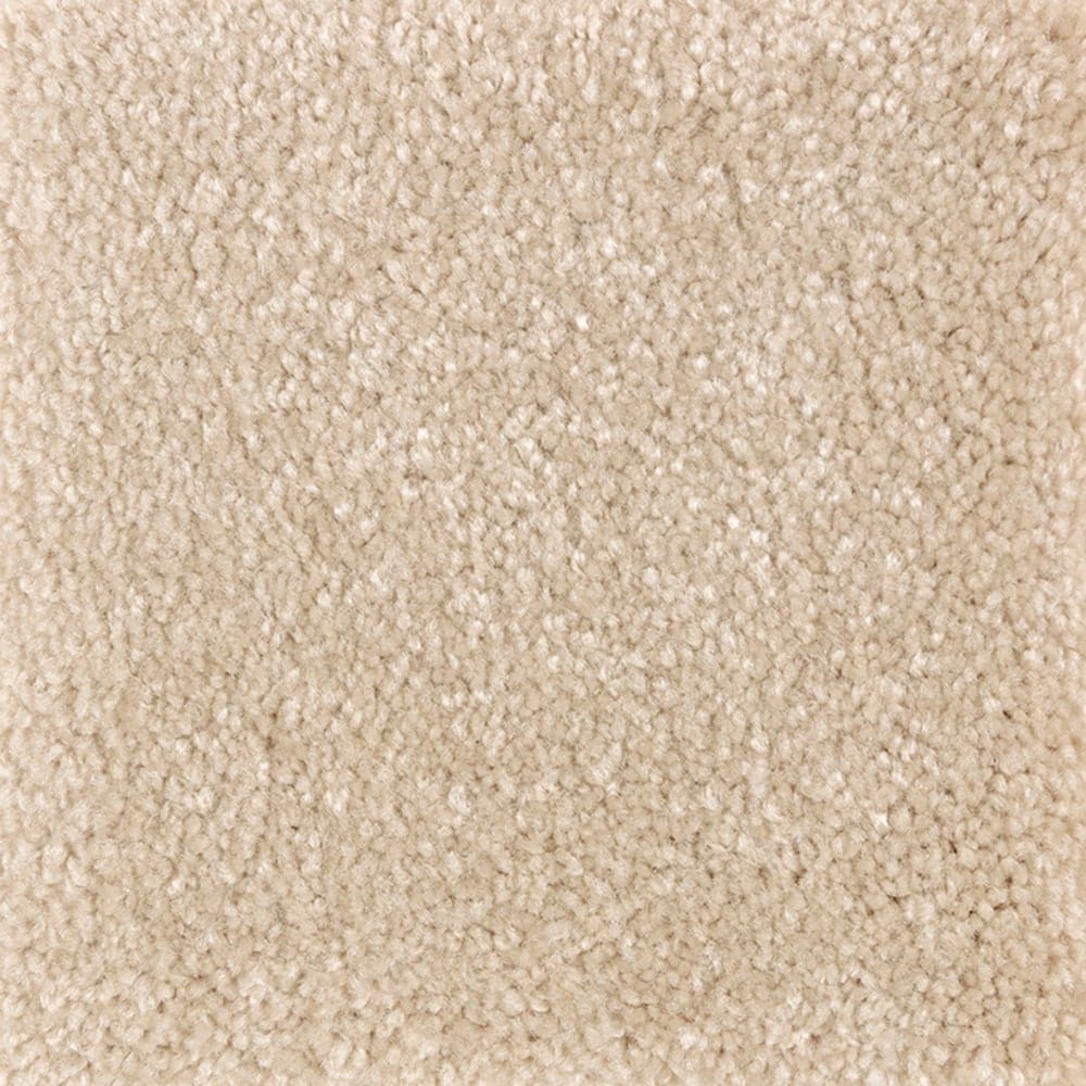 STAINMASTER PetProtect SS009-12-L018 Right Meow III Sandy Cove Brown 58-oz sq yard Triexta Textured Indoor Carpet