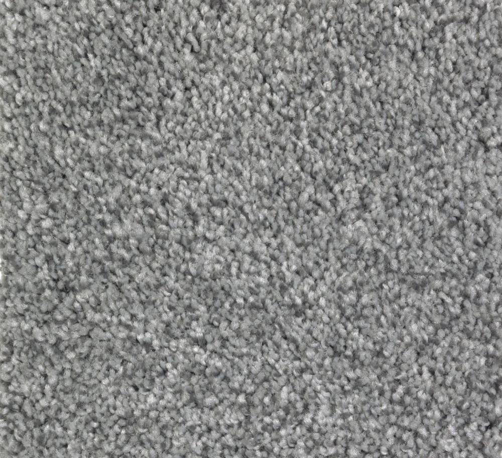 STAINMASTER S771403BLUE TWI-6839 (Sample) Essentials Tonal Design Blue Twilight Textured Carpet
