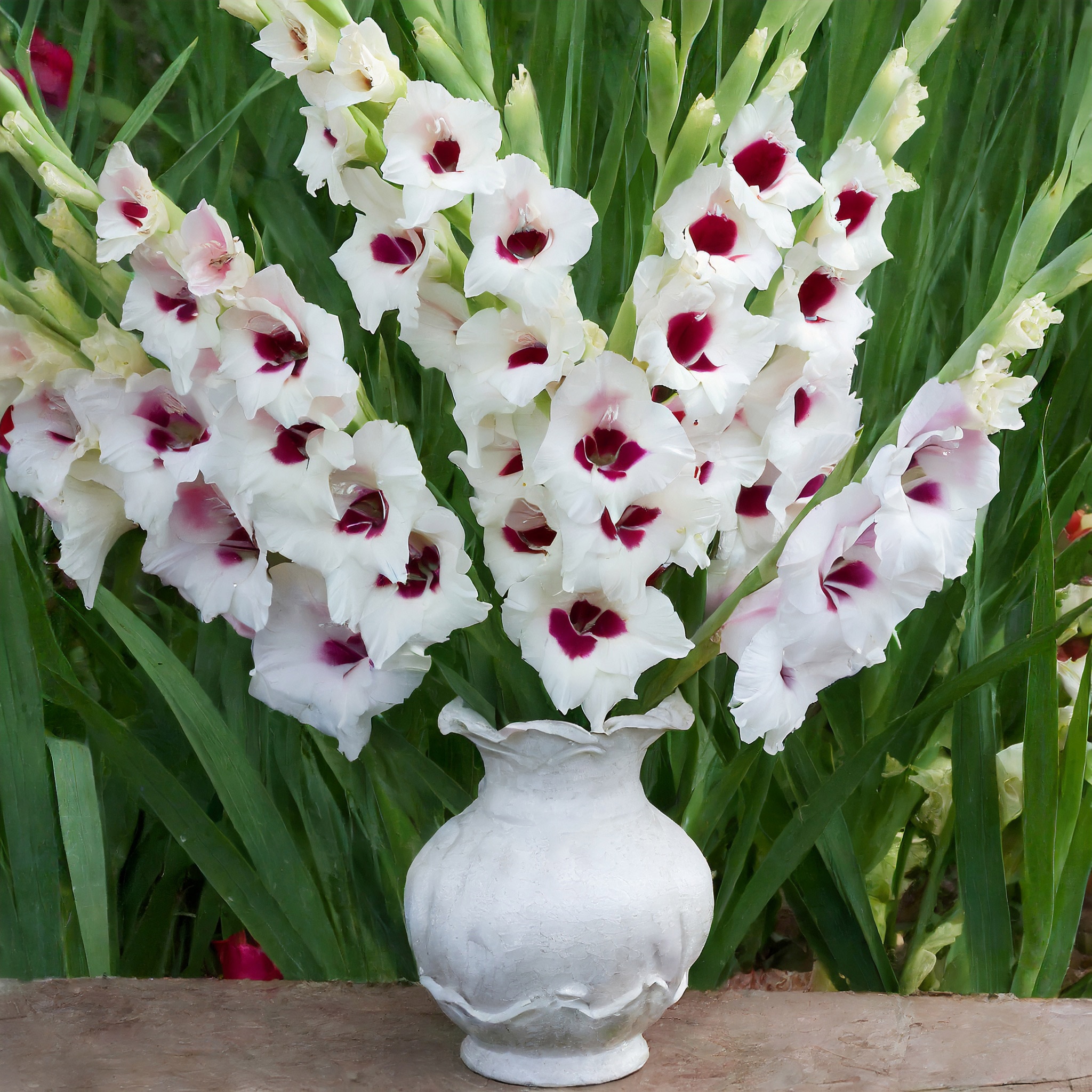 Garden State Bulb ECS-169-30-01 Plant-Bulbs - View #6