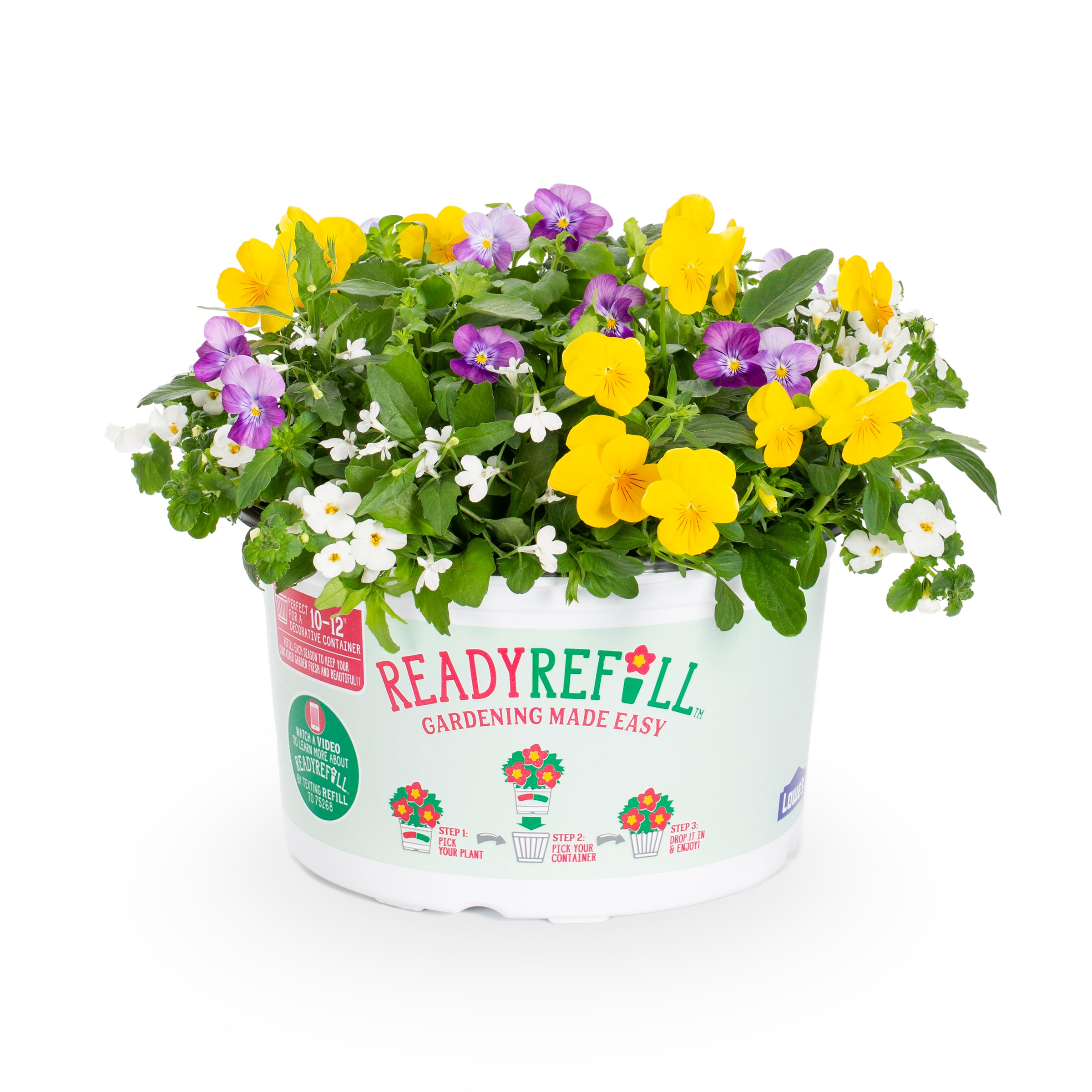 Ready Refill NURSERY Multicolor Laguna Beach Pot