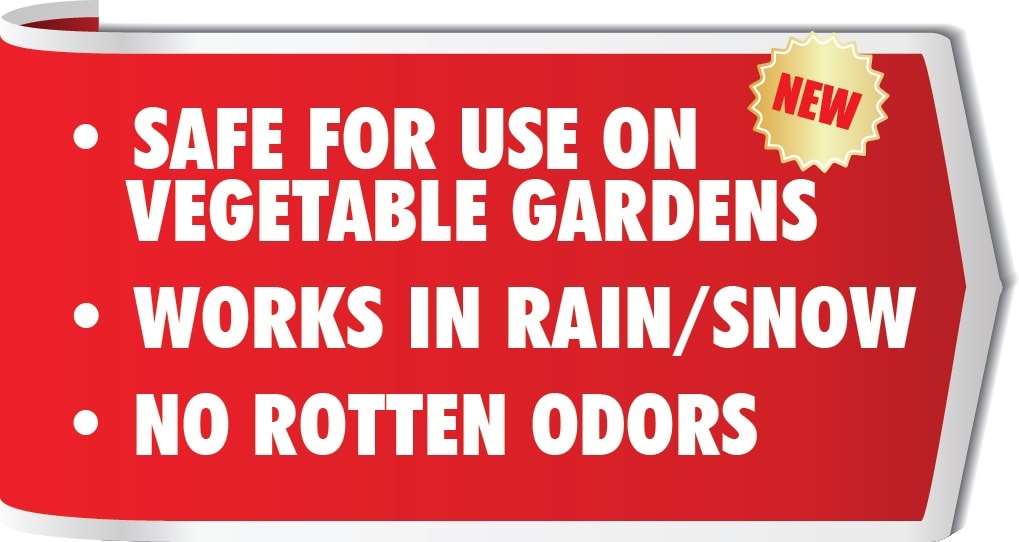 Everguard Repellents 5112828 Animal-Rodent-Control - View #4
