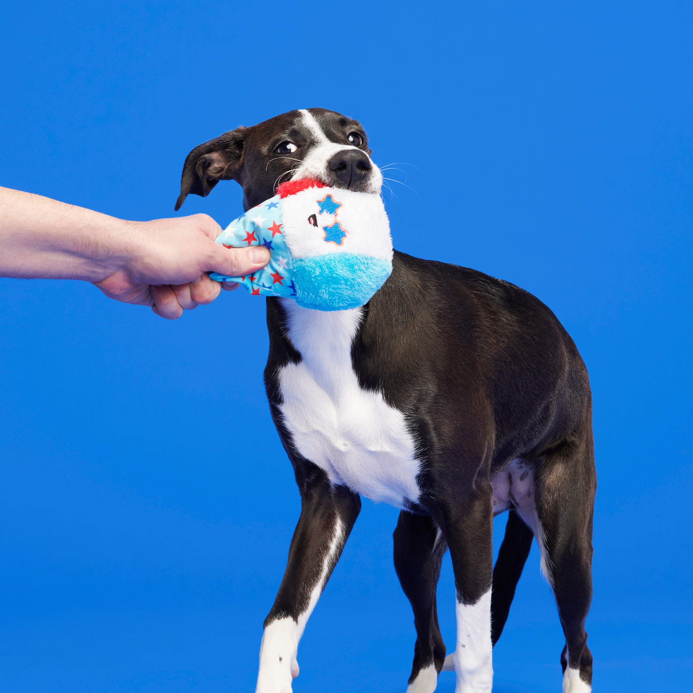 BARK 214267 Dog-Toys - View #5