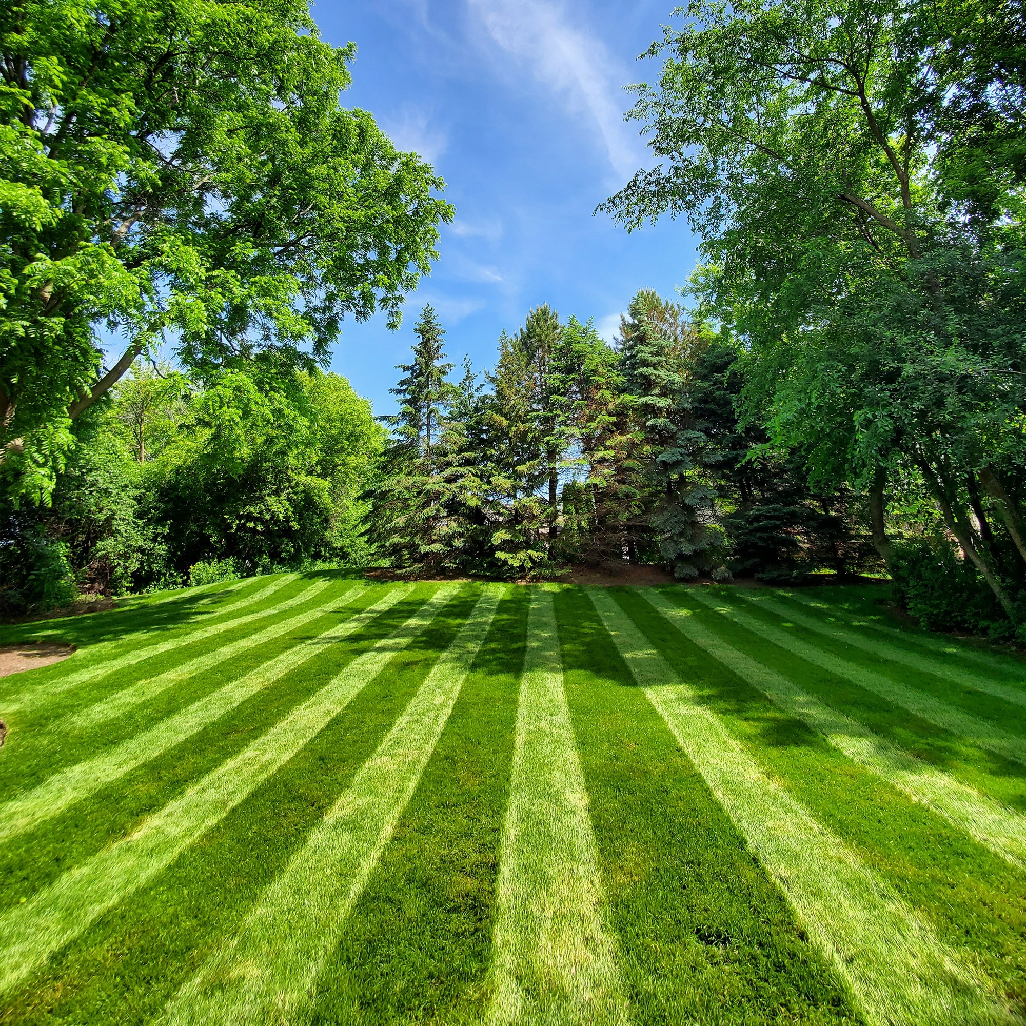 Lawn Stryper LM-GN3-5V Tow-Behind-Lawn-Rollers - View #4