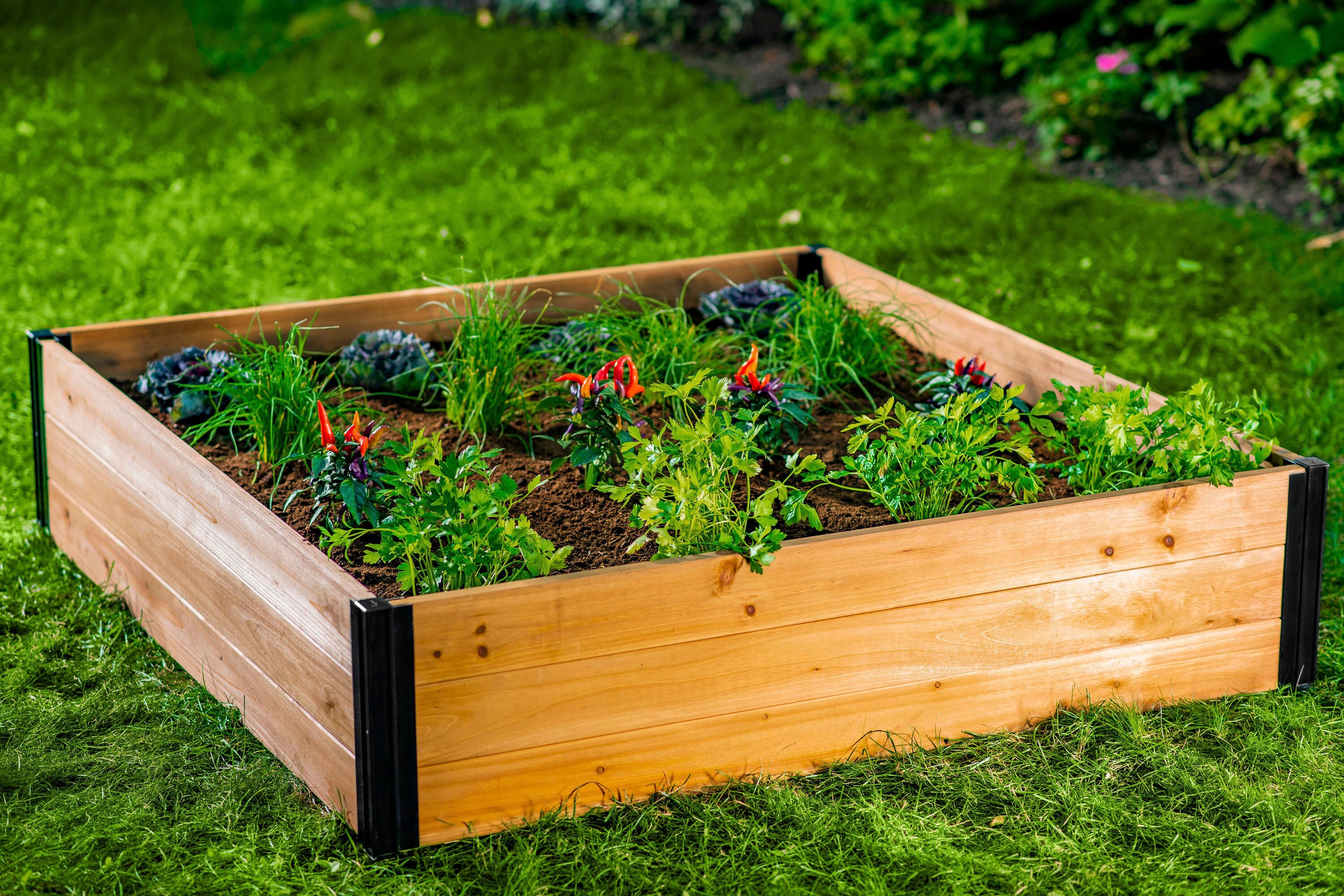 Vita VT17703 Raised-Garden-Beds - View #2