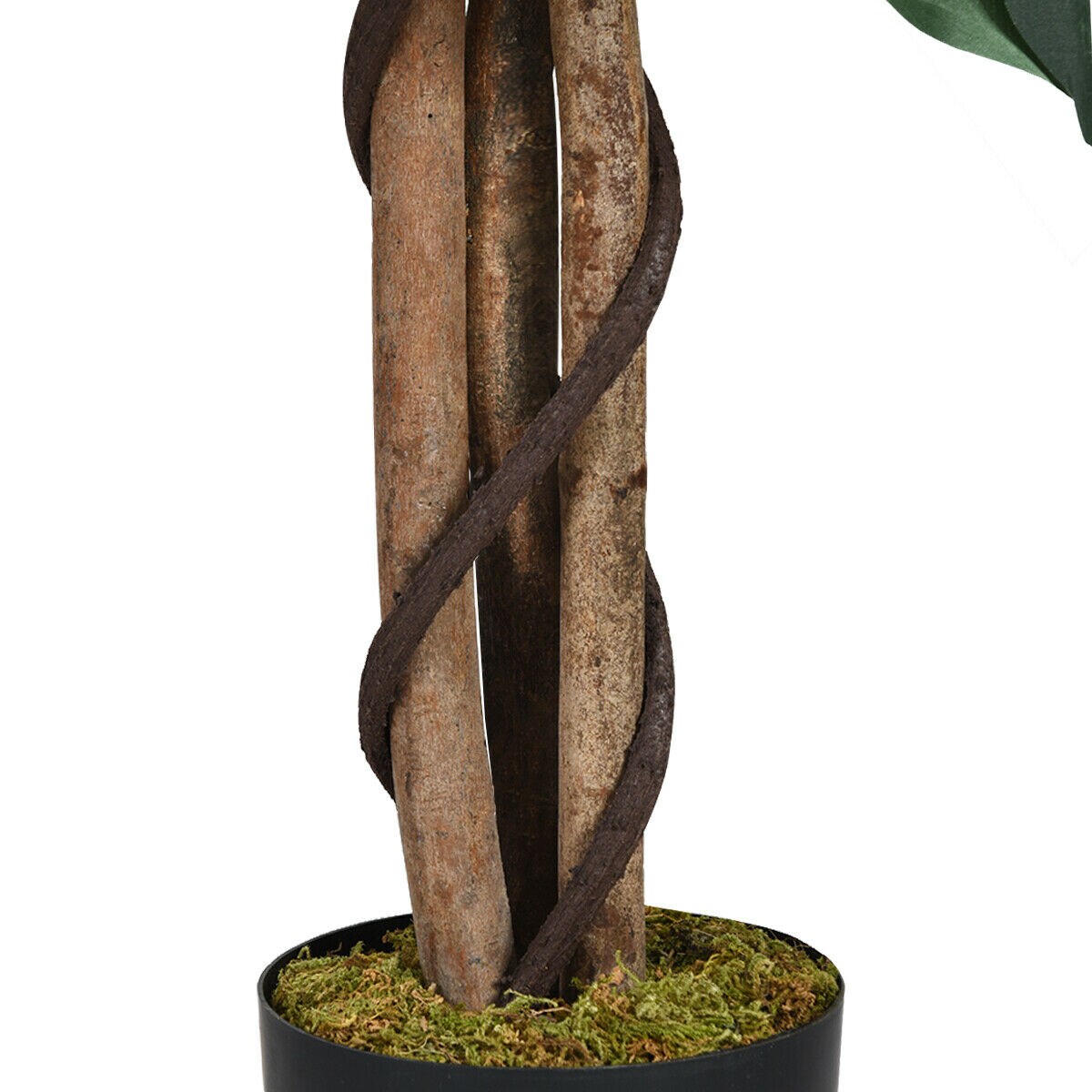 Poinic CWG63227 Artificial-Plants-Trees - View #8
