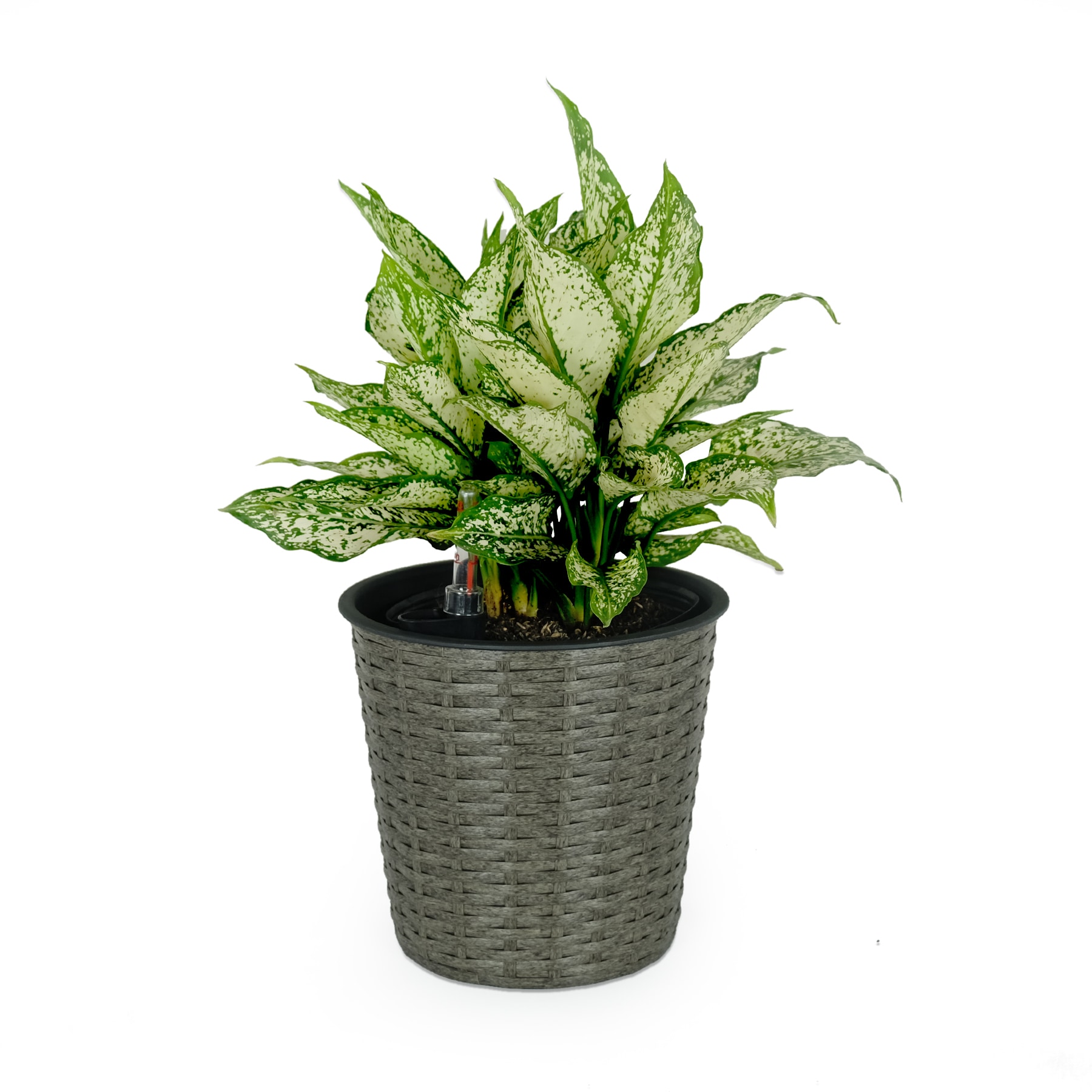 Siavonce XH44644 Planter-Window-Box - View #5