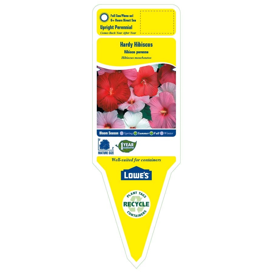 Lowe's 2.88HIBIHARBAS perennials - View #2