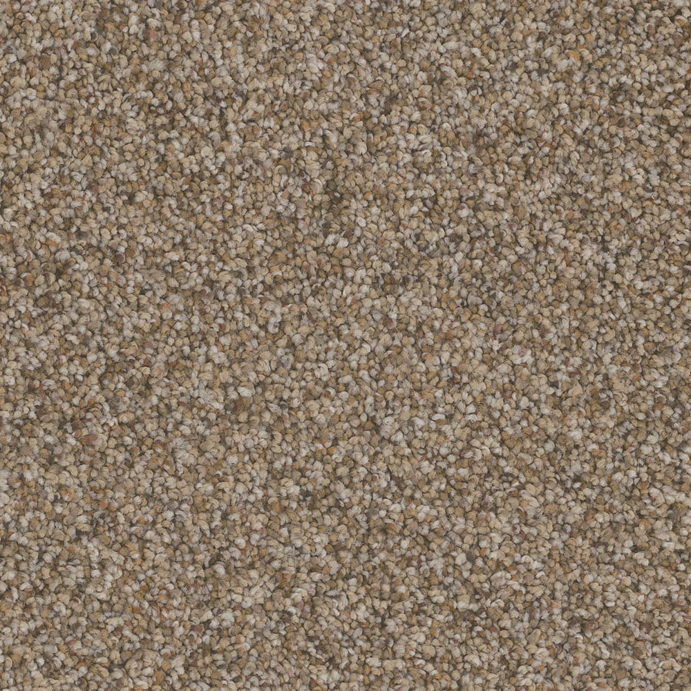STAINMASTER PetProtect S9066-712-1200-MO Peachtree District Brown 66-oz sq yard Nylon Textured Indoor Carpet