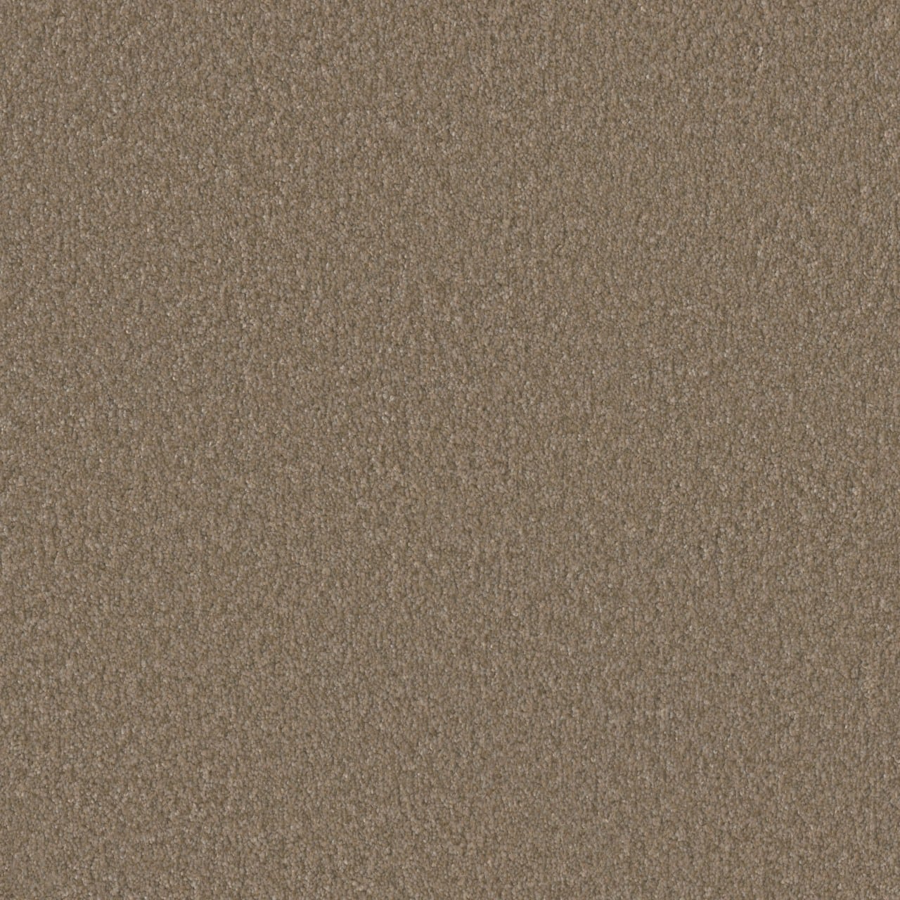 STAINMASTER L5013-1219-1200-AB Joyful Sound II Melody Tan 55-oz sq yard Solution-dyed polyester Textured Indoor Carpet