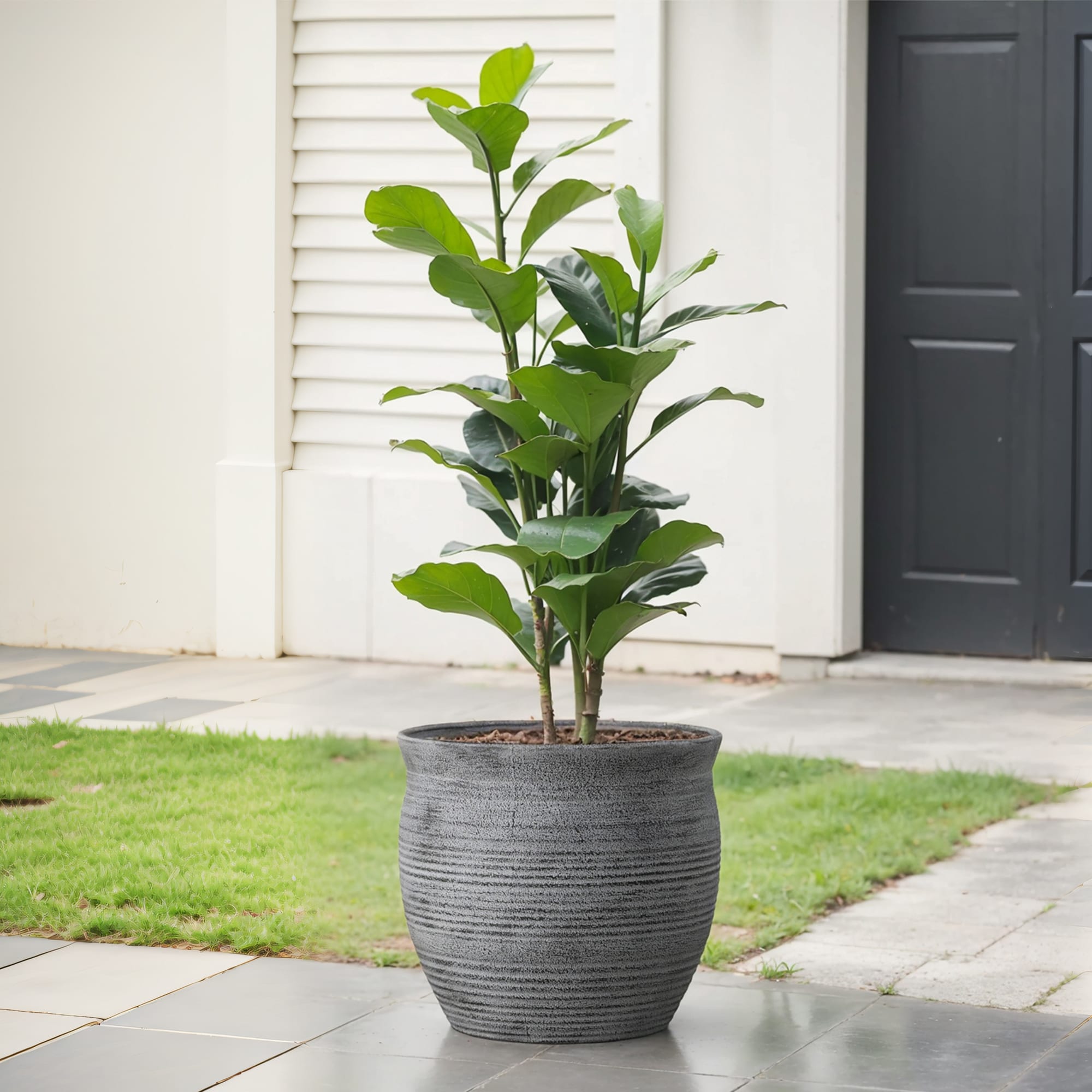 allen + roth PLJF115TKJ Planter-Window-Box - View #2