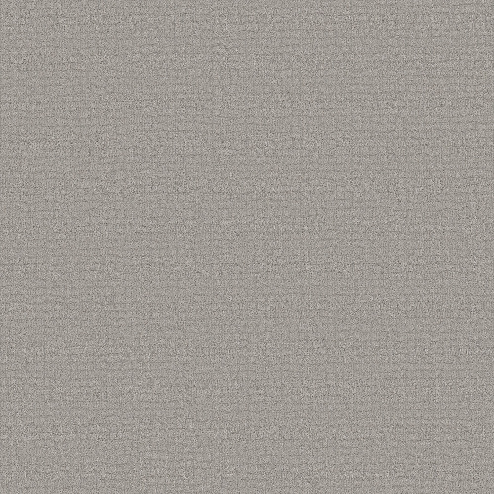 STAINMASTER PetProtect 7L94700556 with LeakDefense Feline Fantasia Gravity Gray 34.1-oz sq yard Solution-dyed polyester Pattern Indoor Carpet