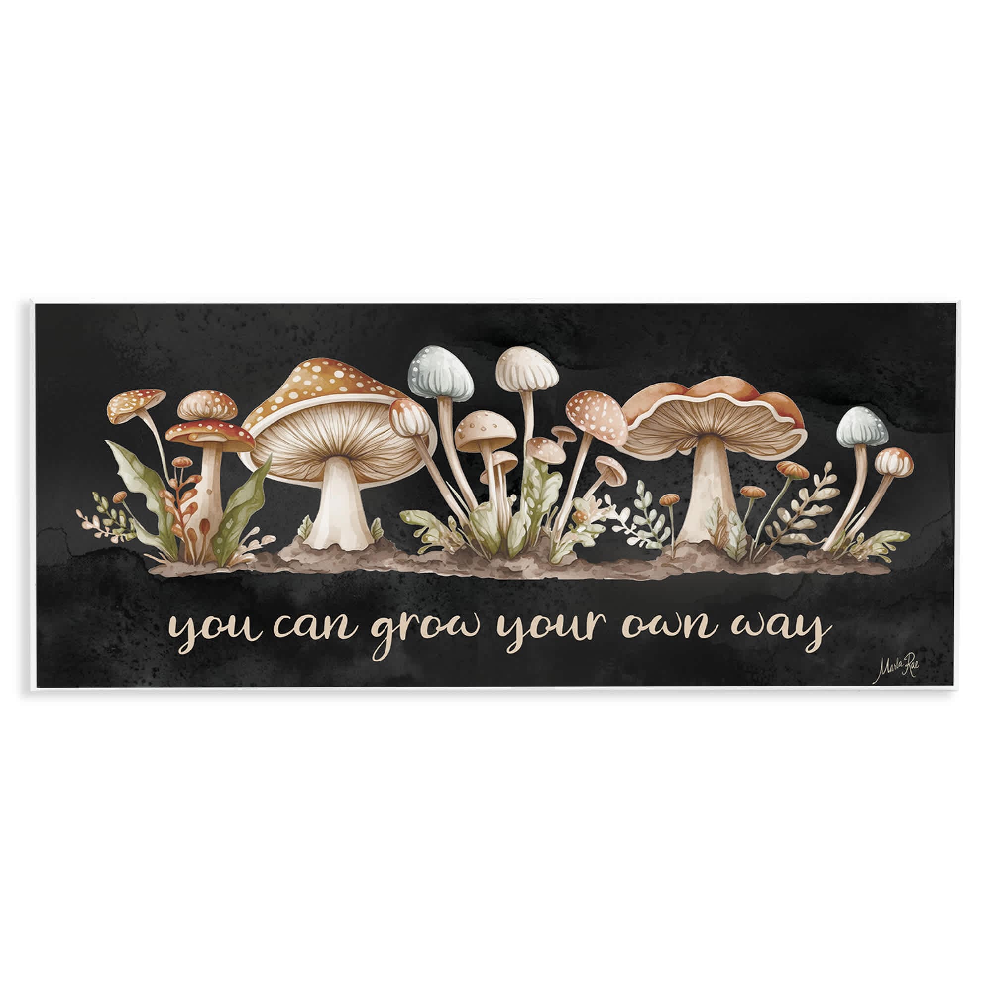 Stupell Industries BT-604-WD-7X17 Grow Your Own Way Wall Plaque Art By Marla Rae 17 x 7