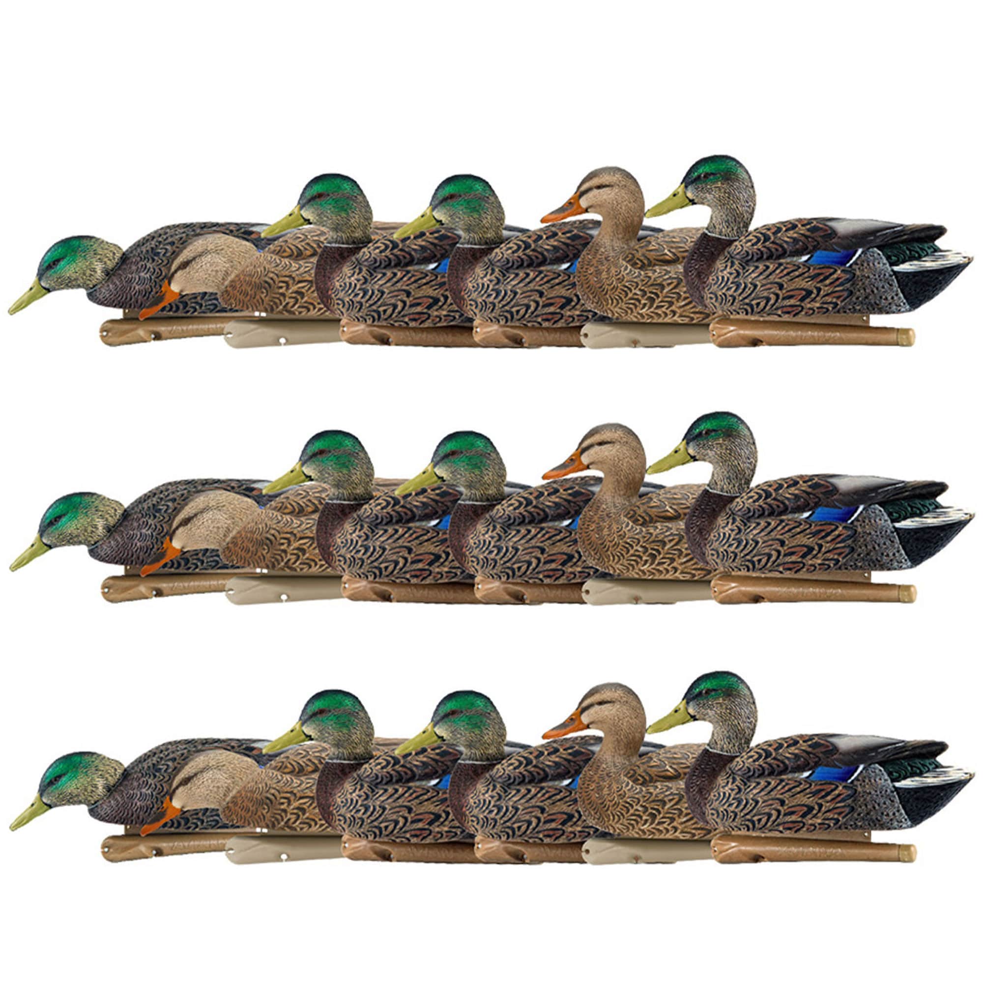  Avian X 408534 18.3 x 15.8 x 12.4 Inche(s) Decoy 18 -Pack