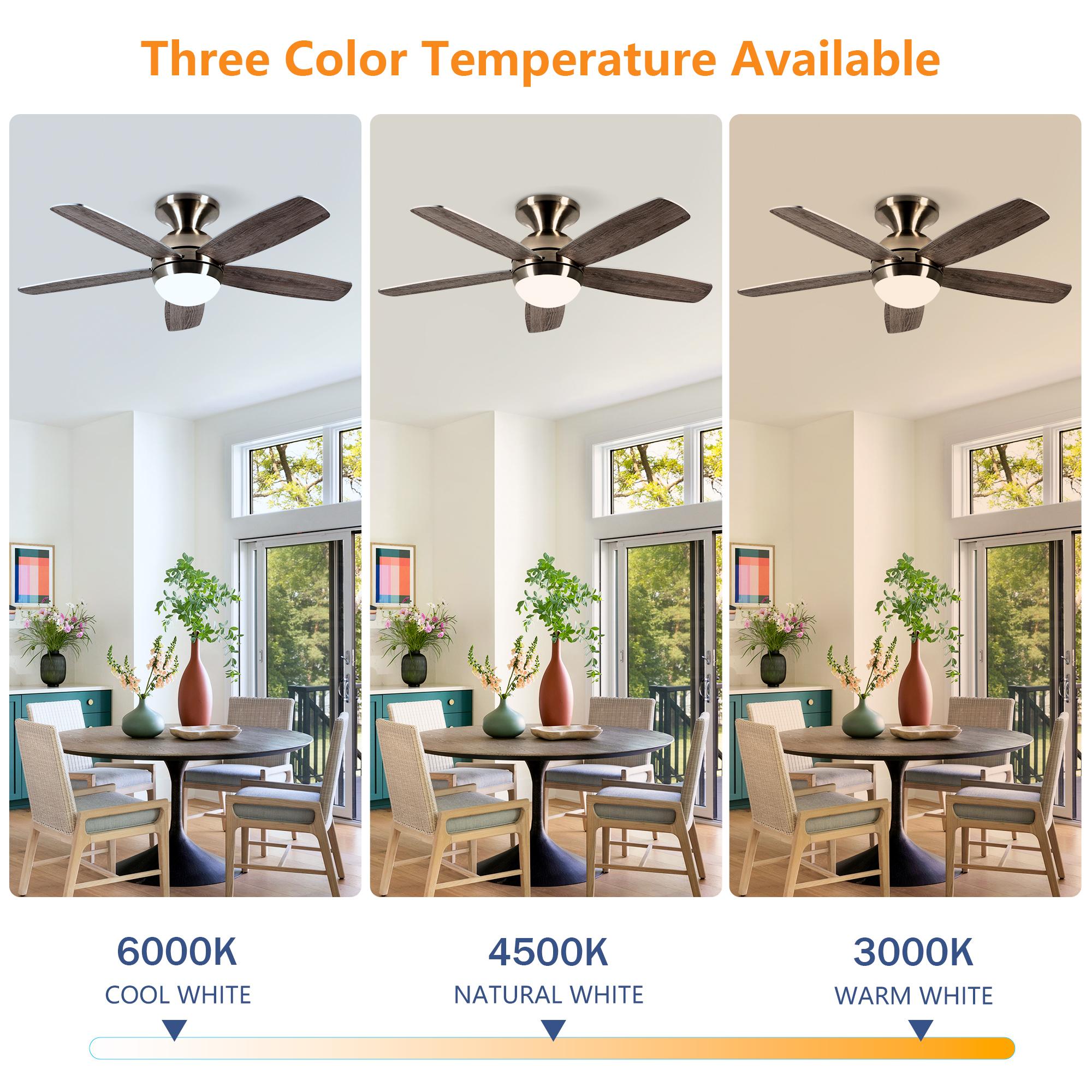 Bayfeve BF-369167-MP Ceiling-Fans - View #4