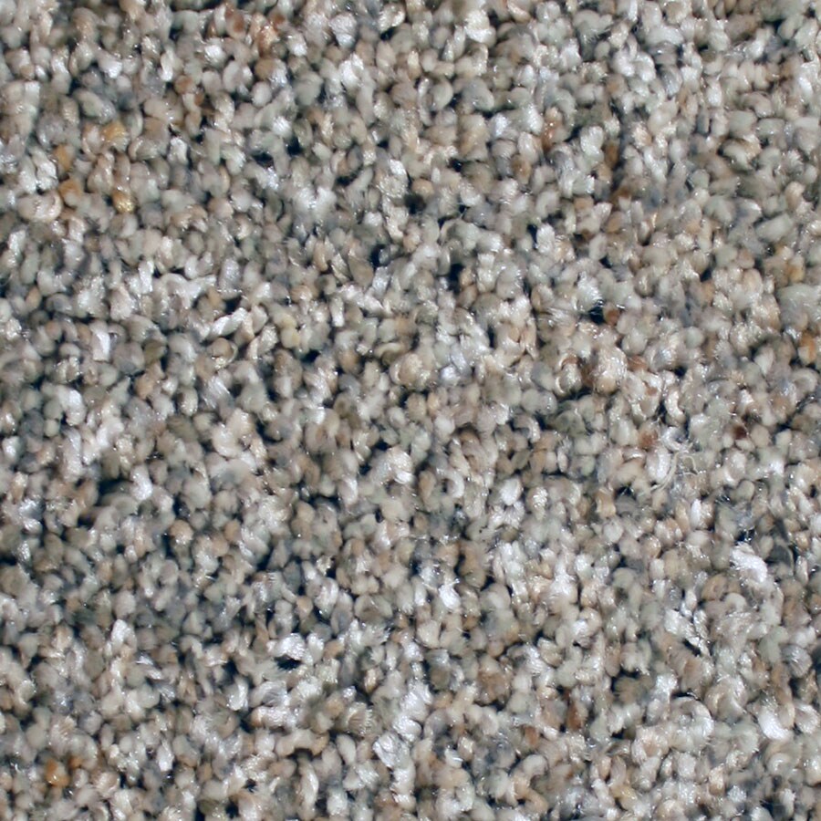 STAINMASTER S671699CAVERN P-OINT (Sample) Essentials Ventura Cavern Point Textured Carpet