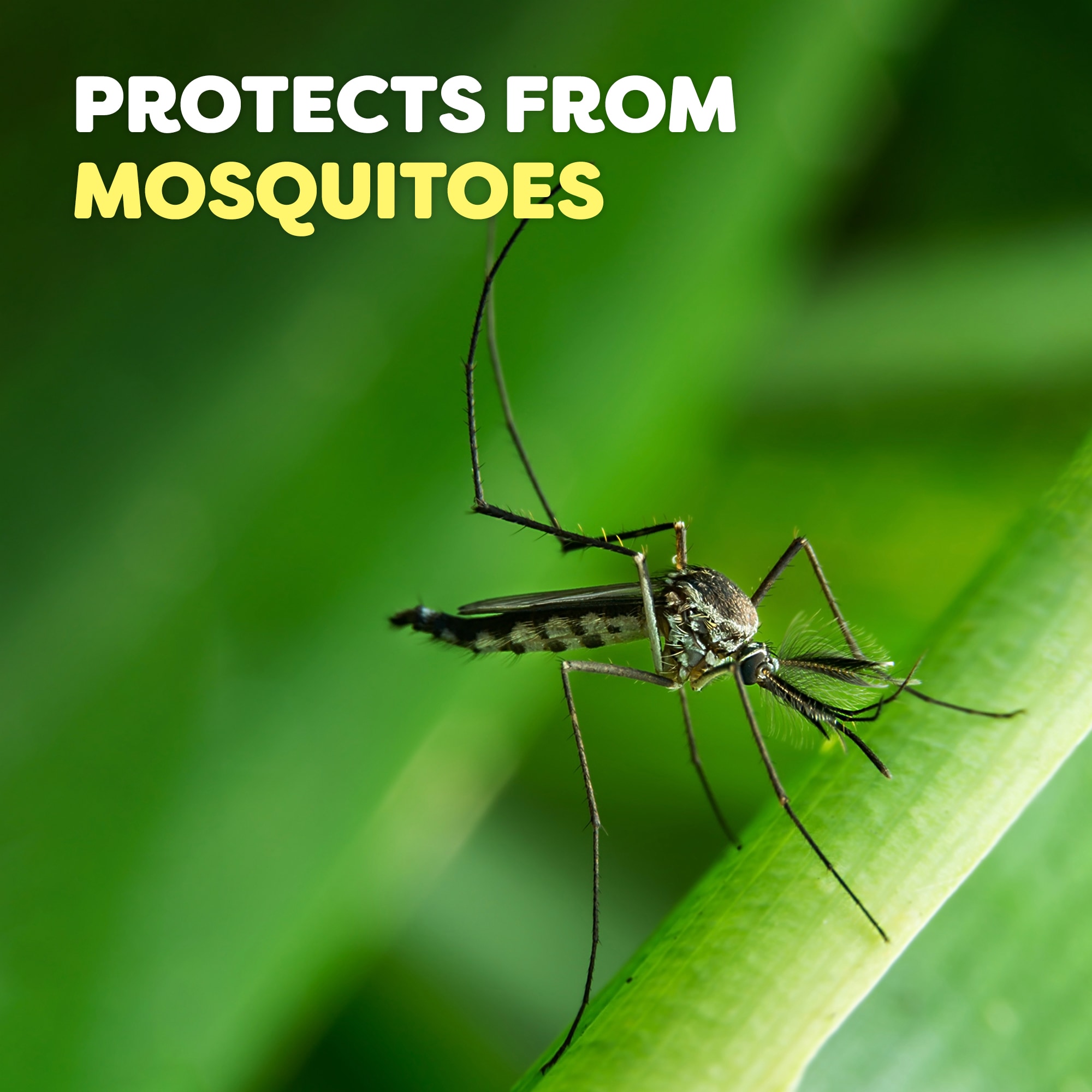 Off! SCJ661249 Insect-Repellent - View #7