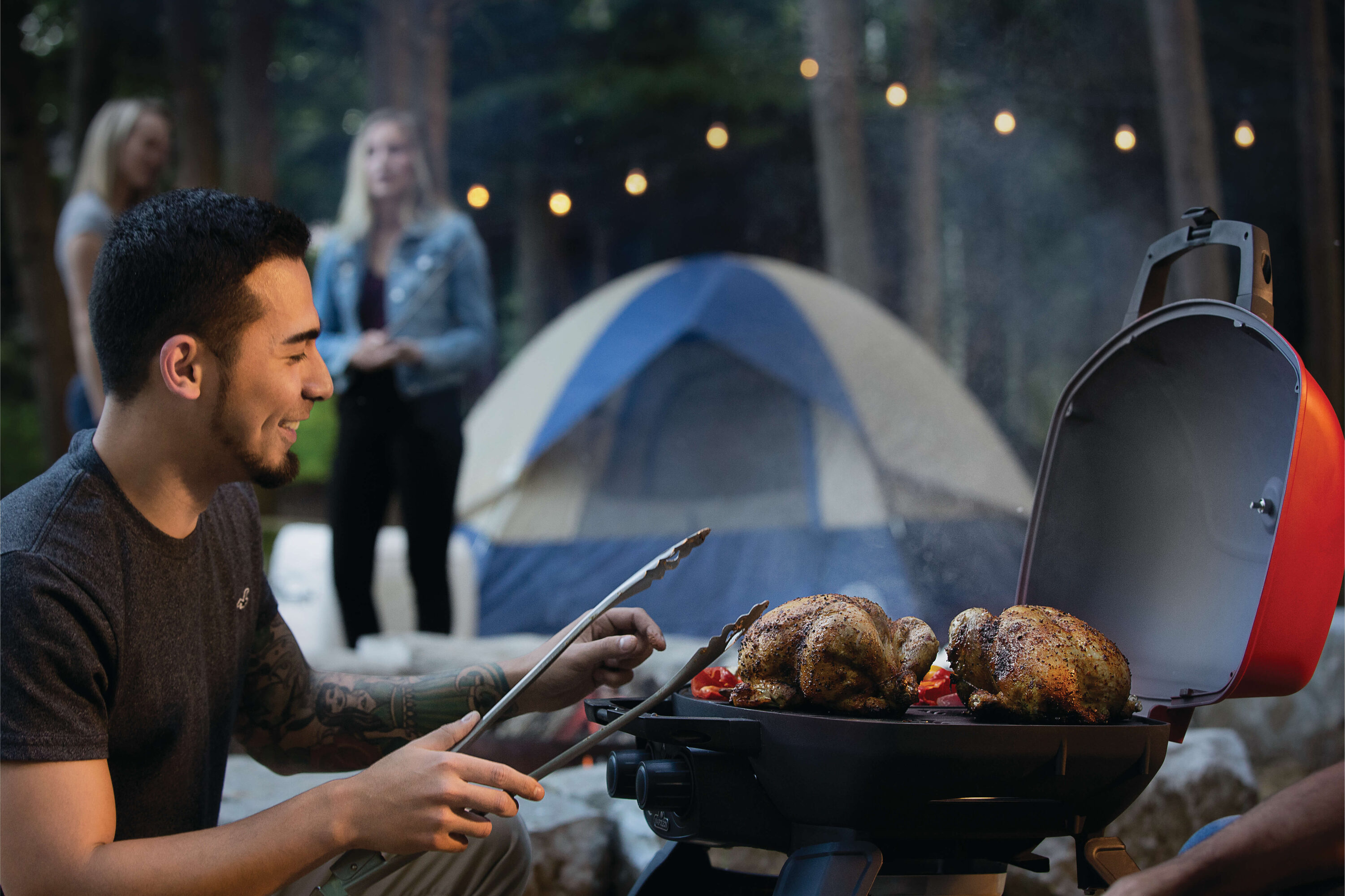 NAPOLEON TQ285-RD-1-A Tabletop-Grills - View #11