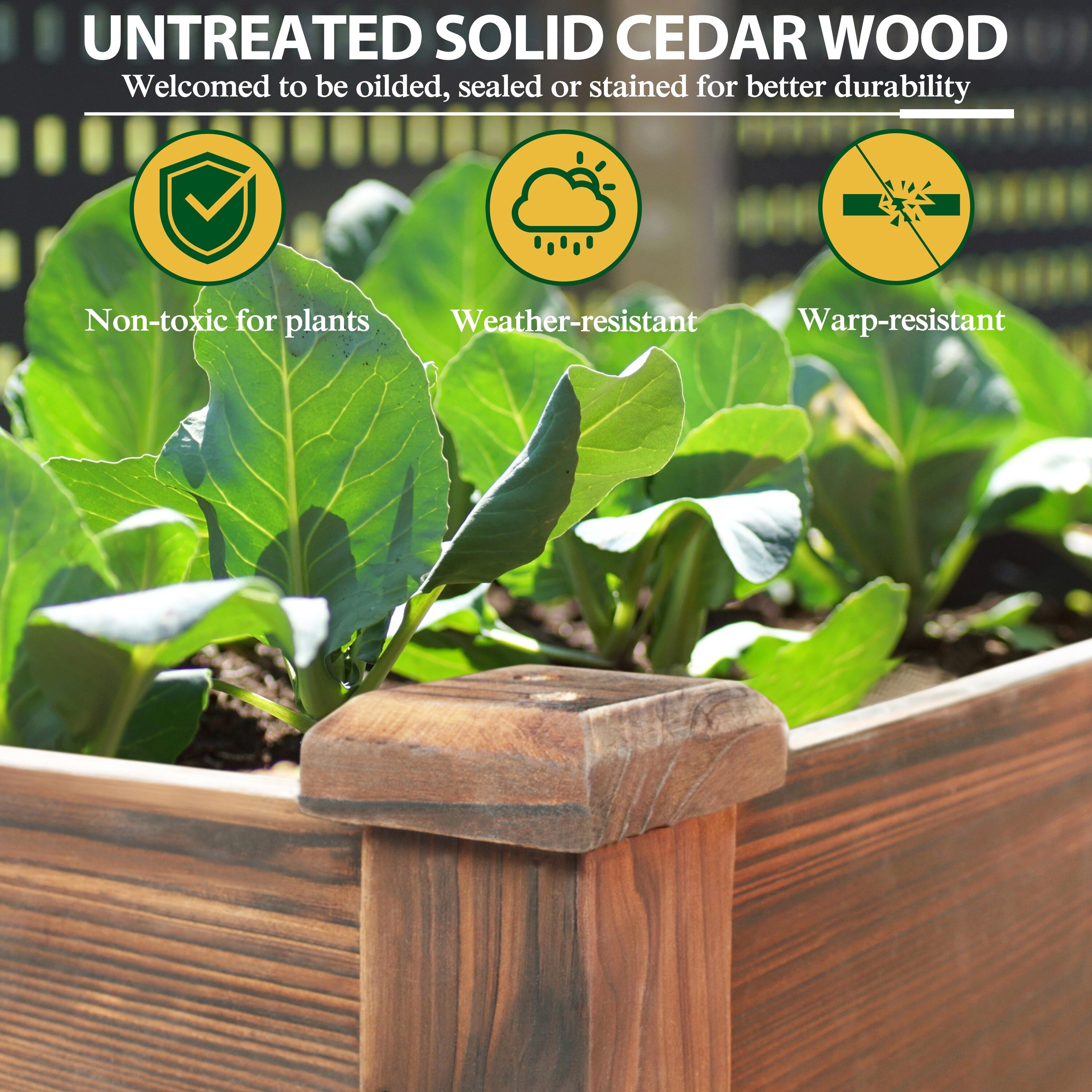 Contemporary modern style cedar box window planter, assorted sizes, natural, ready online to plant, drain holes, 24