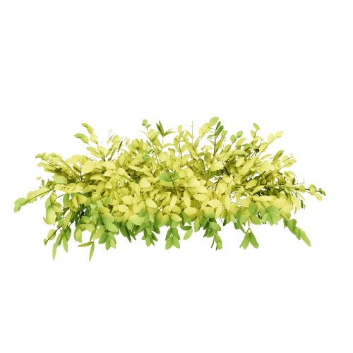 Three-dimensional representation of the product