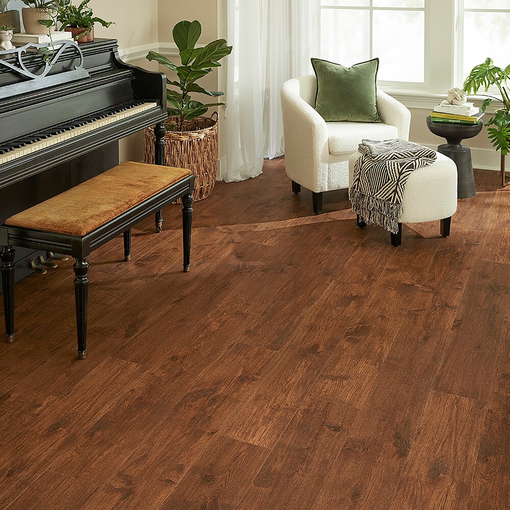 STAINMASTER PetProtect SM107 laminates - View #5