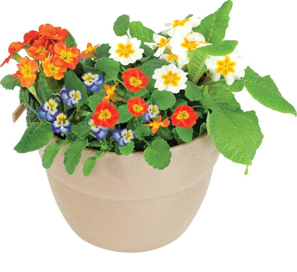 EMSCO GROUP 2460-1 Planter-Window-Box - View #4