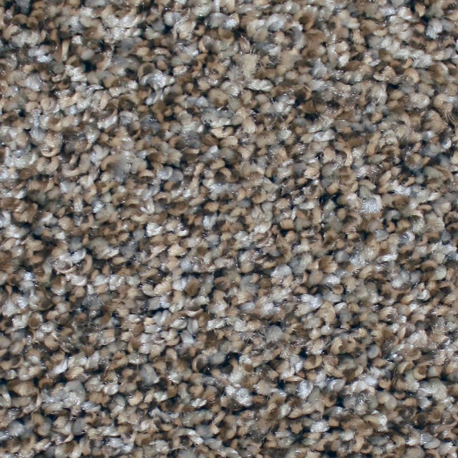 STAINMASTER S671699SEACLIFF-LIFF (Sample) Essentials Ventura Seacliff Textured Carpet