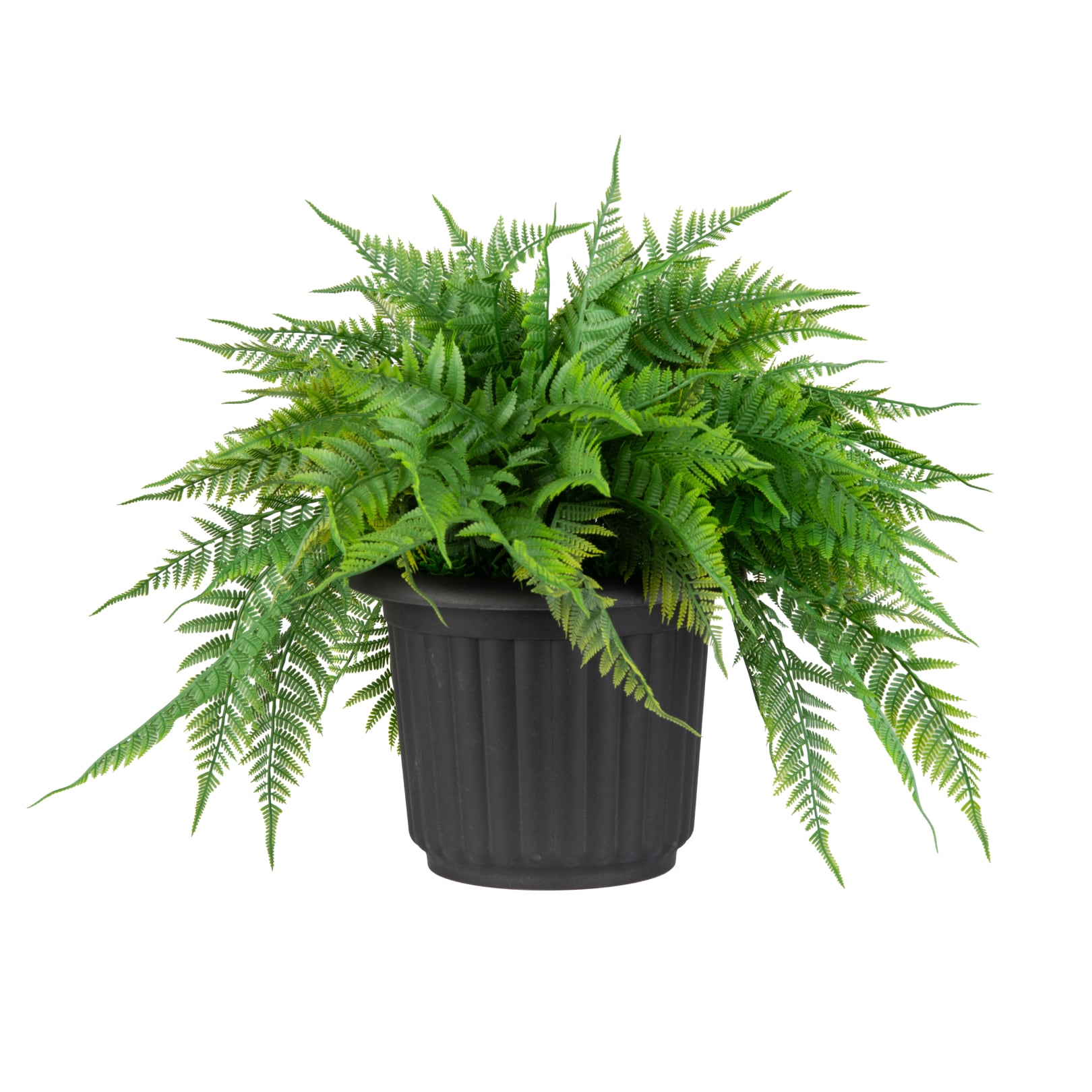 Naturae Decor 13-in Green Indoor/Outdoor Floor Fern Artificial Plant
