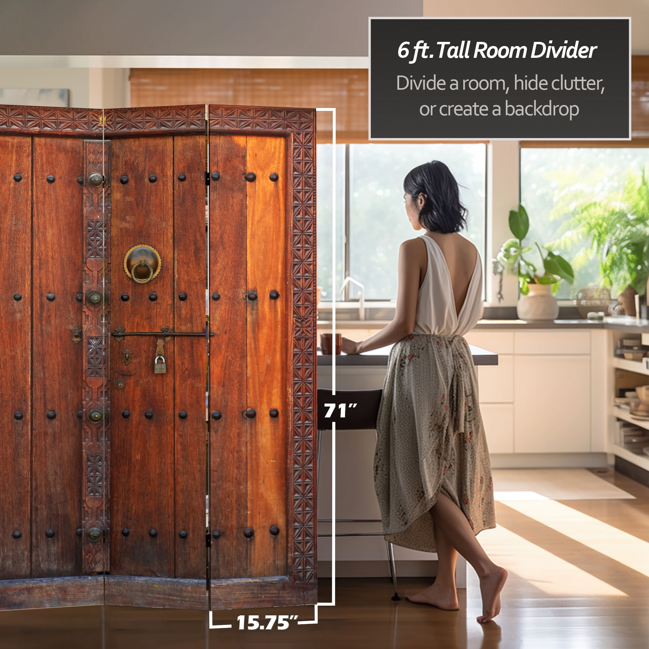 6' Tall Double Sided European Doors Canvas Room Divider