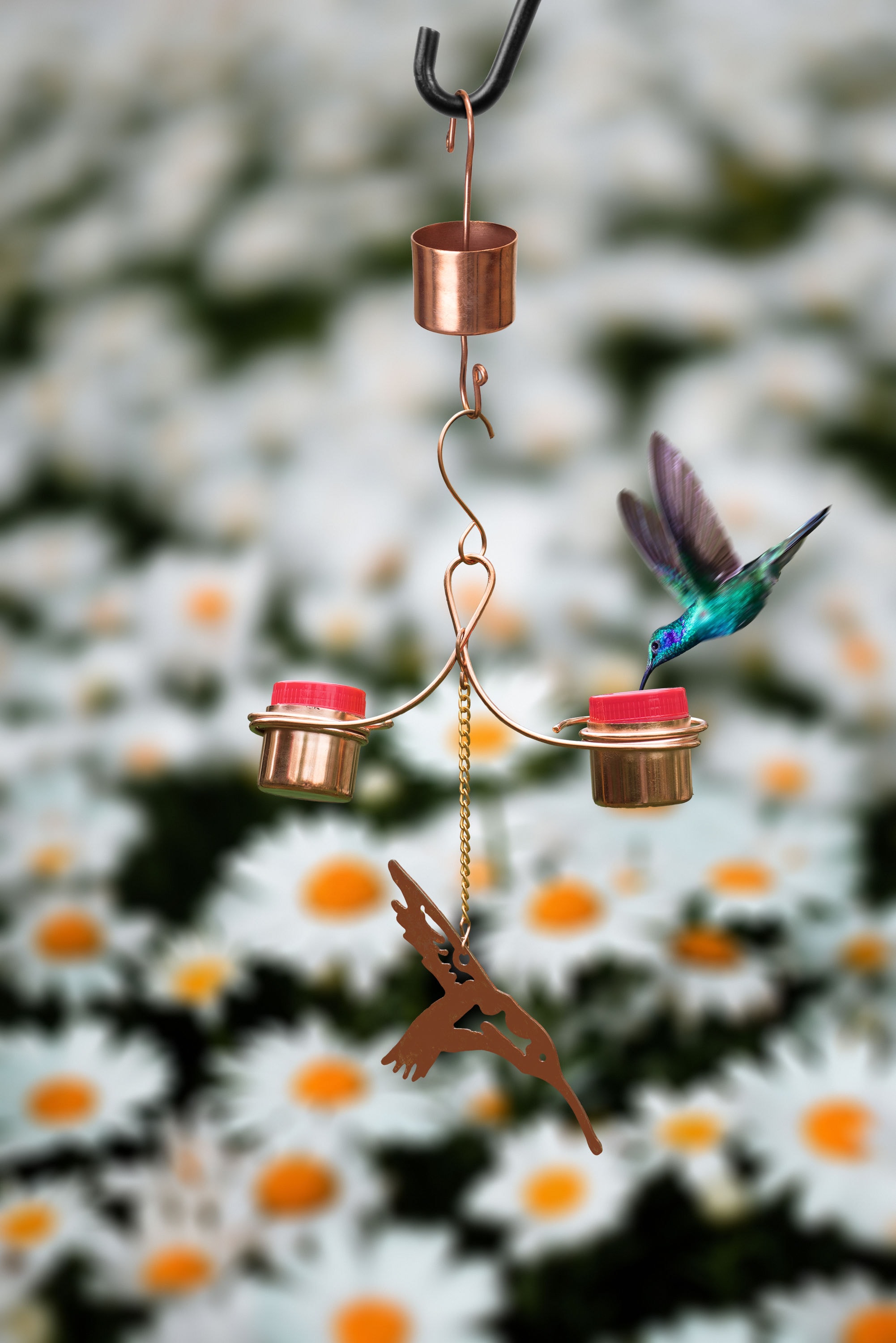 Monarch Abode Copper Bird Feeders Metal Hanging Nectar Bird Feeder- 0.2 ...