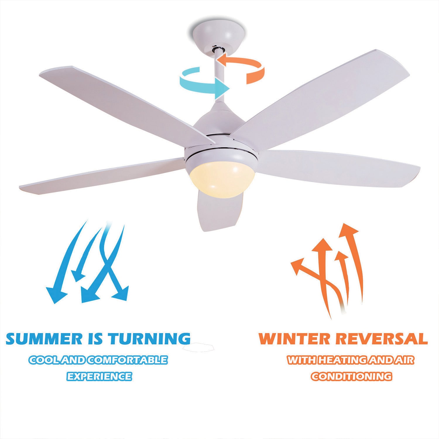 Maincraft D01-CF029 Ceiling-Fans - View #5